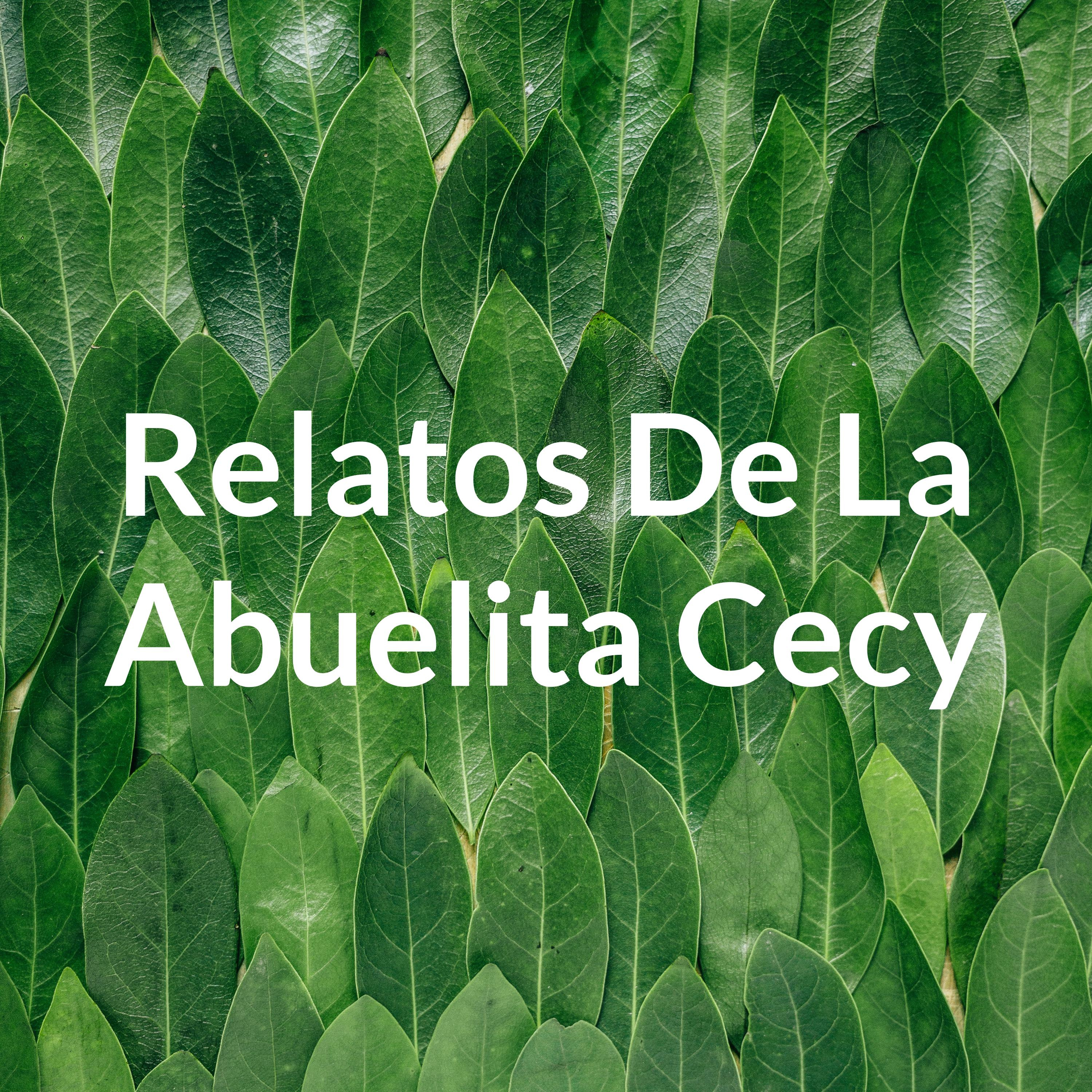 Relatos De La Abuelita Cecy