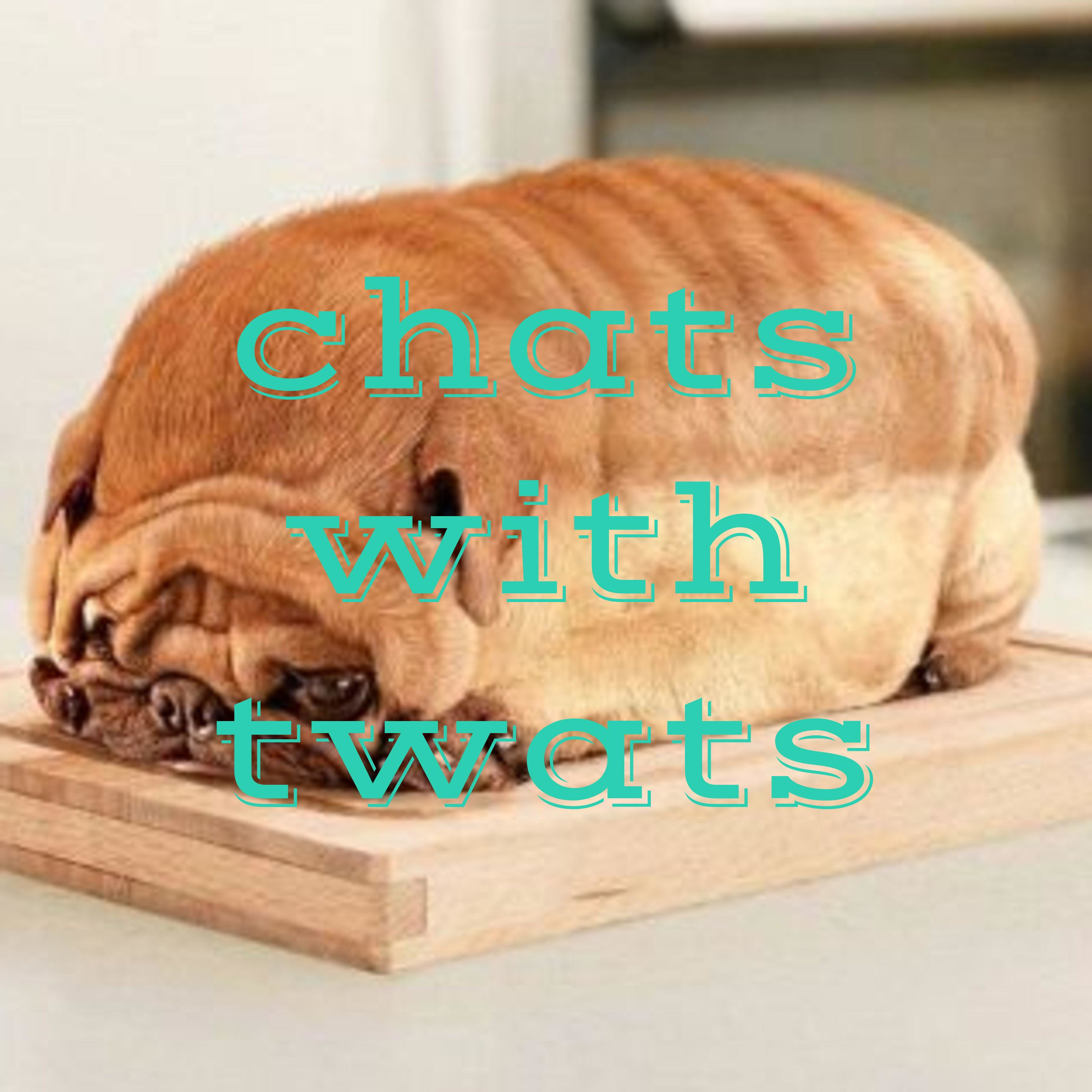 chats with twats