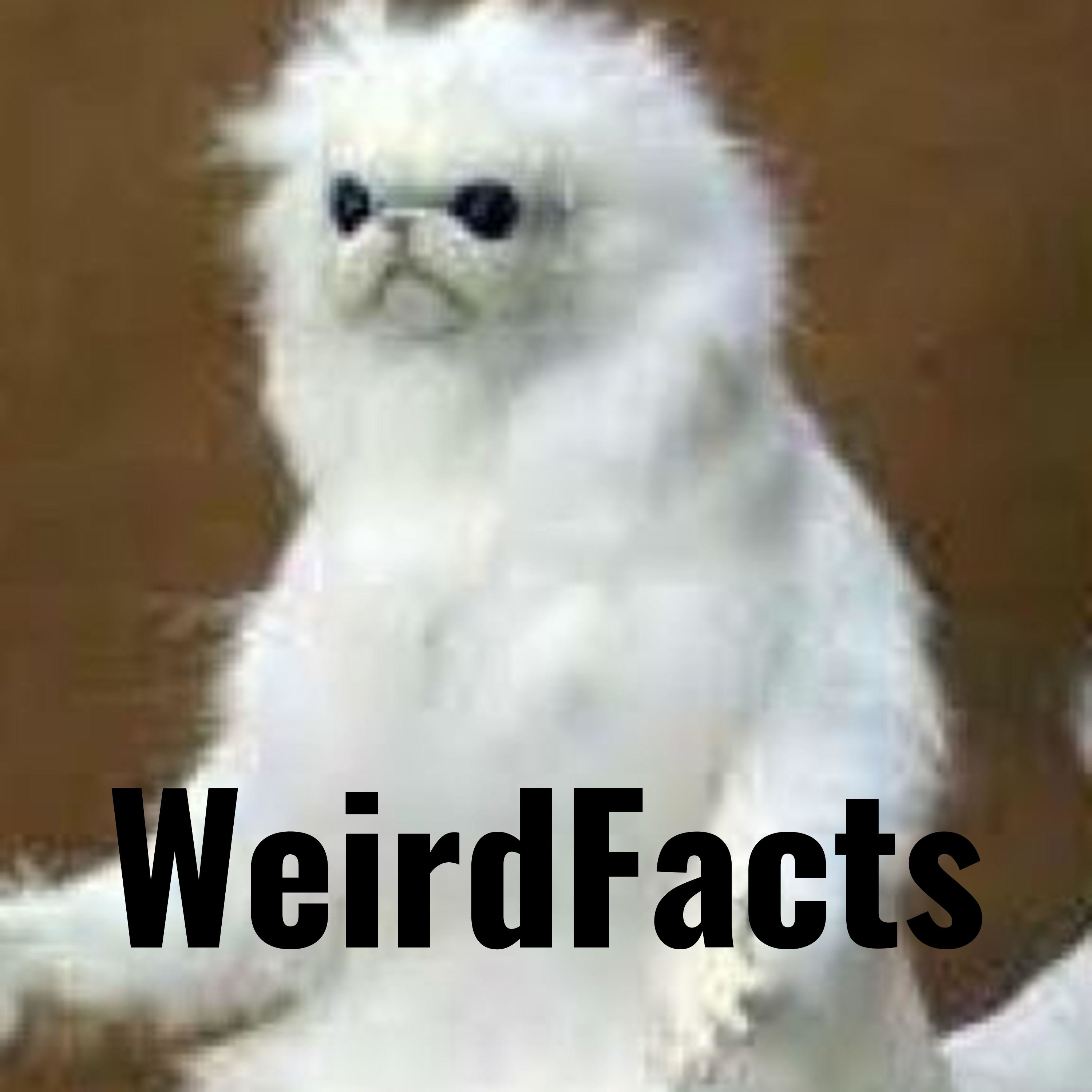 WeirdFacts
