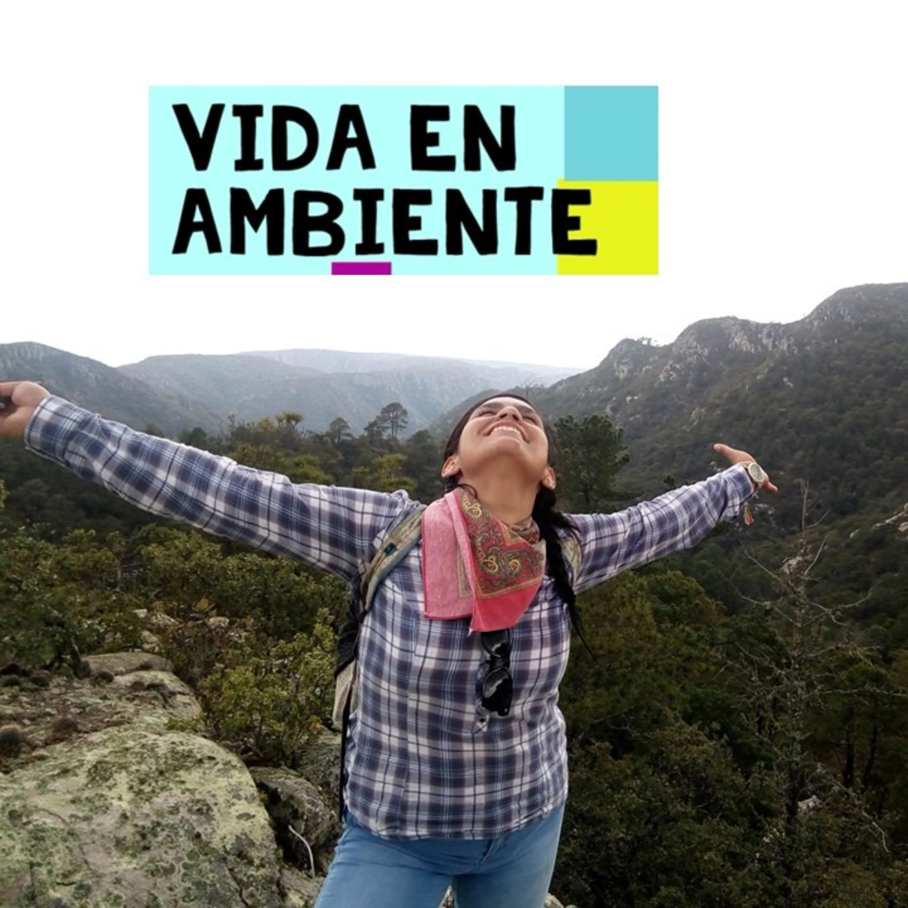 Vida en ambiente