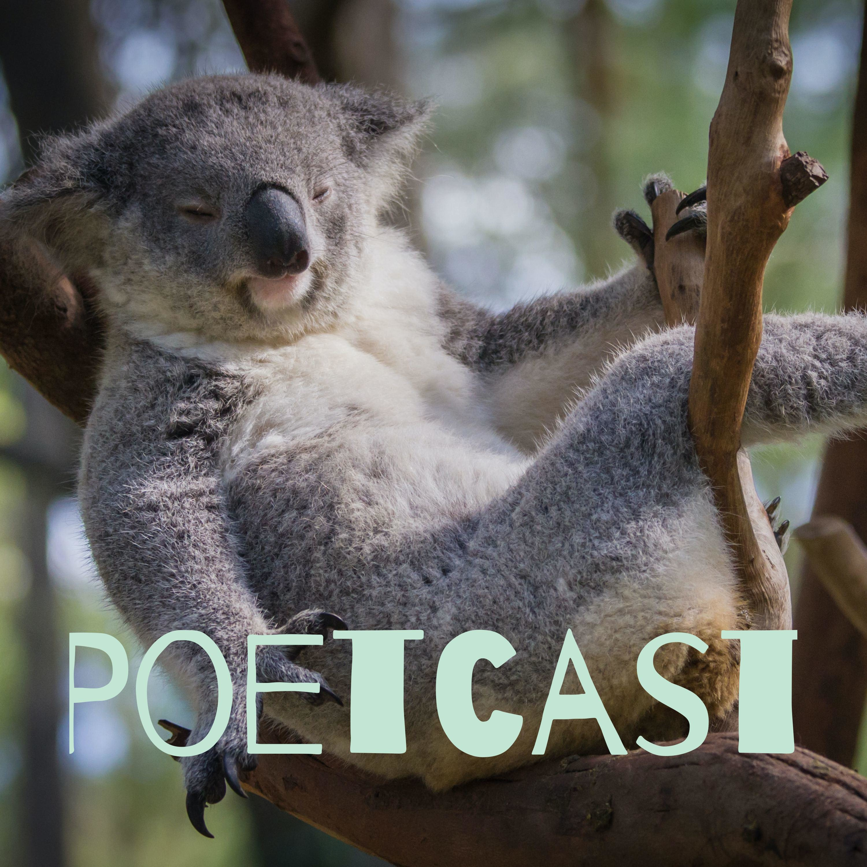 Poetcast podcast artwork