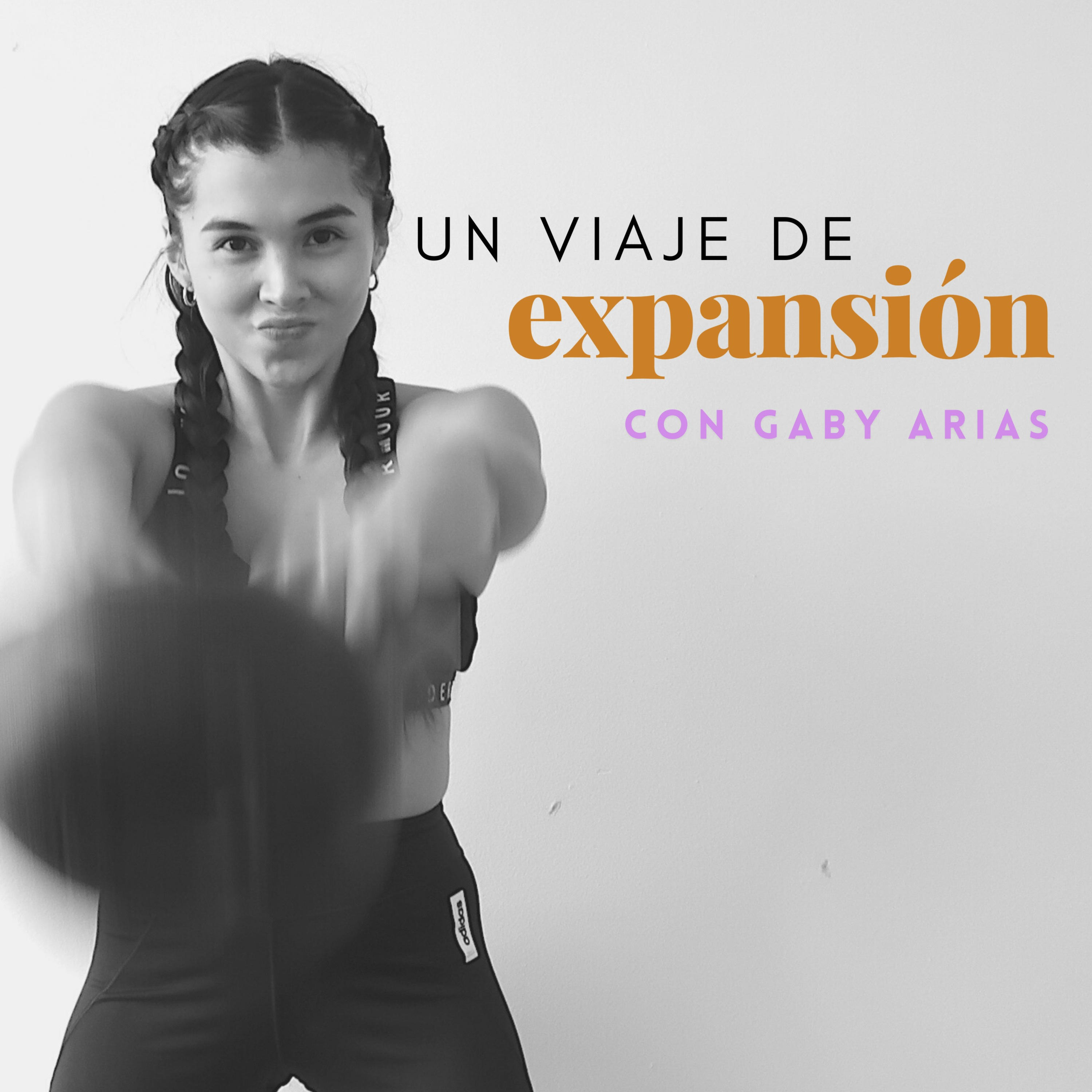 Portada de Un Viaje De Expansión