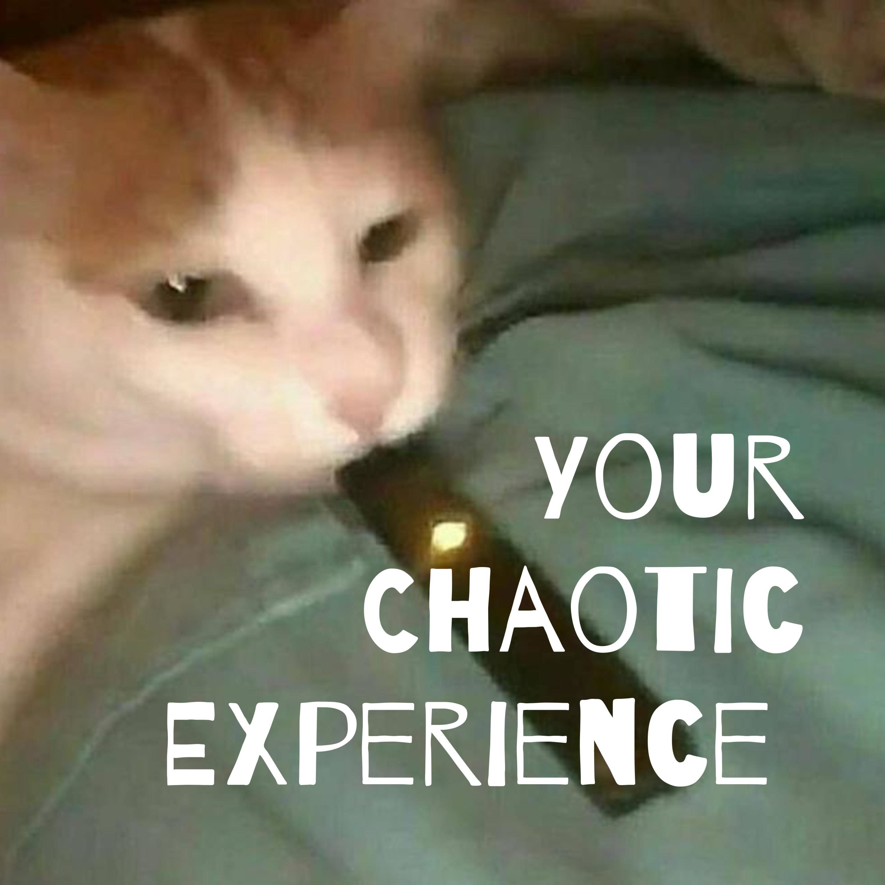 Your Chaotic Experience