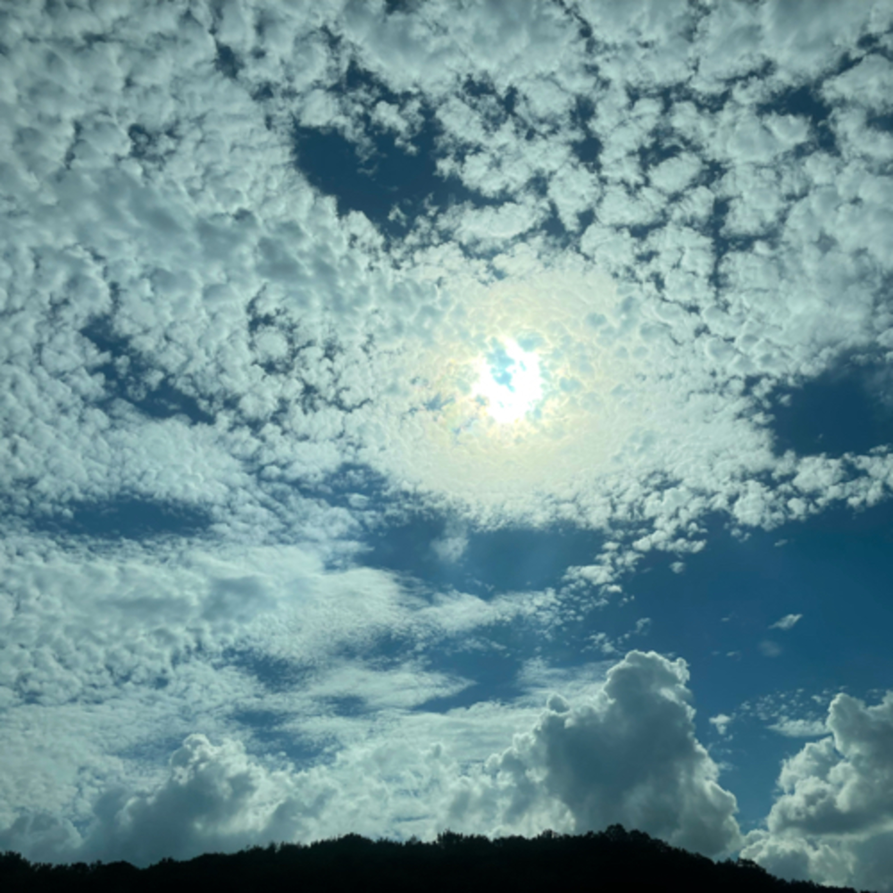 Co-creating with God