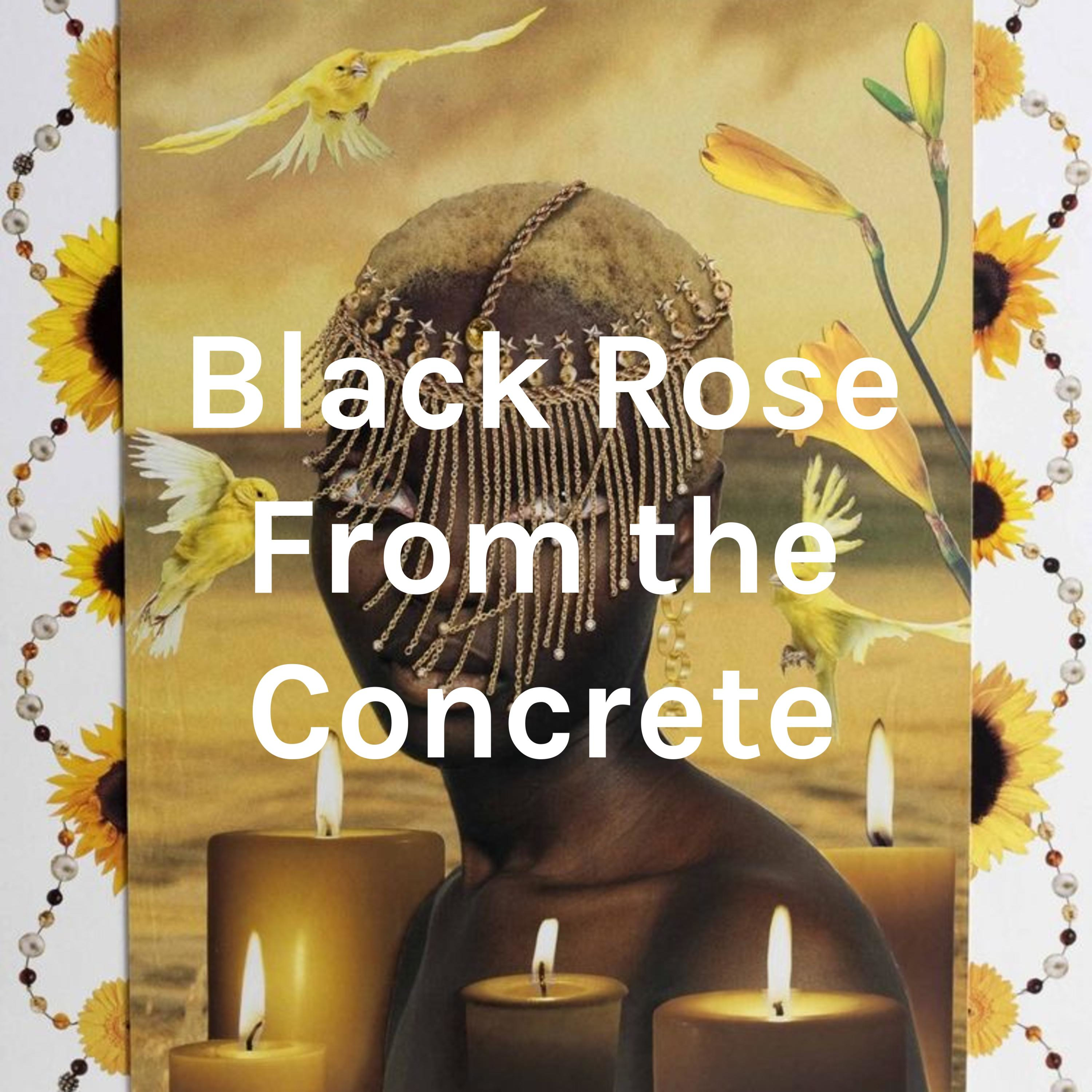 Black Rose From the Concrete