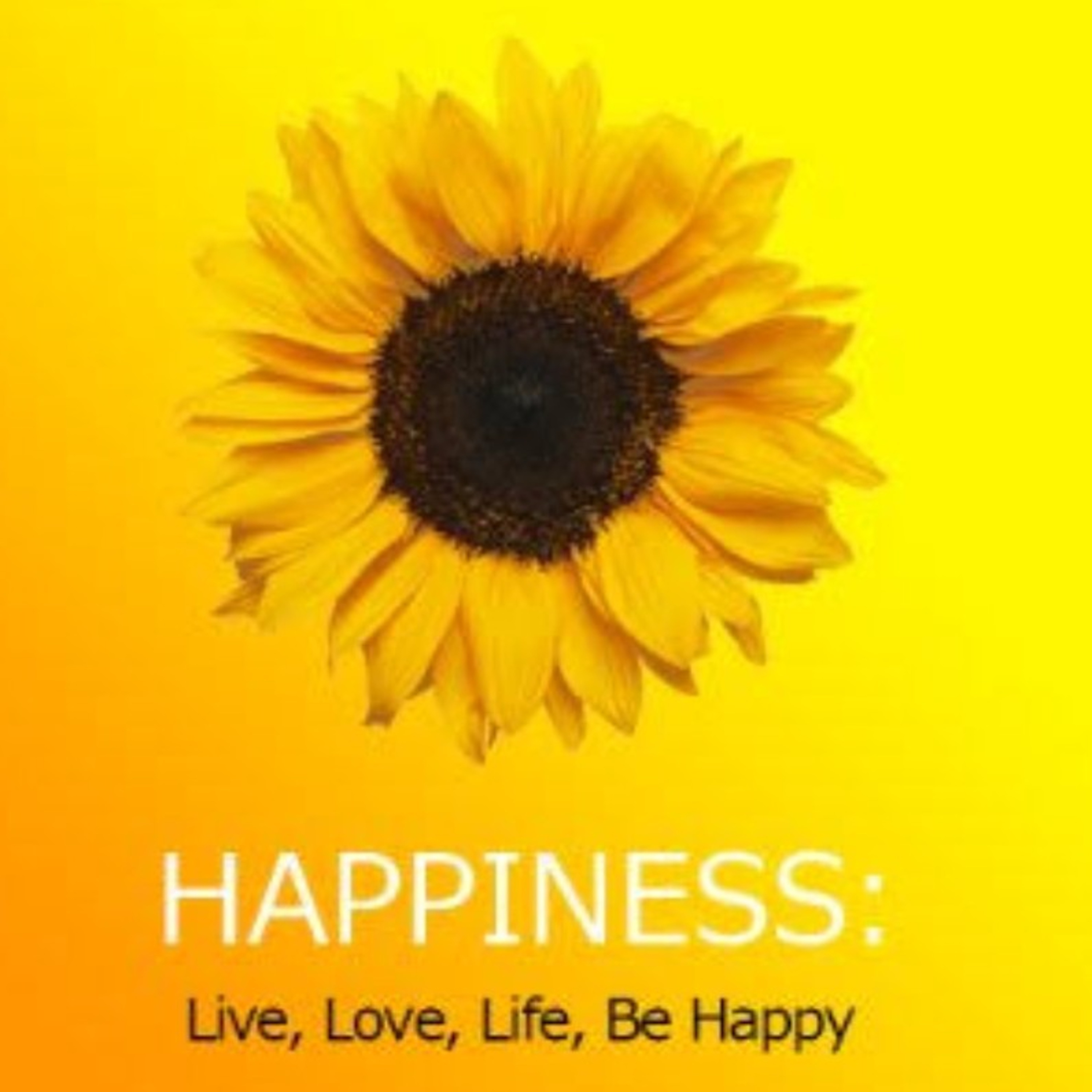 Art Of Wellbeing....By Happiness Indeed😇