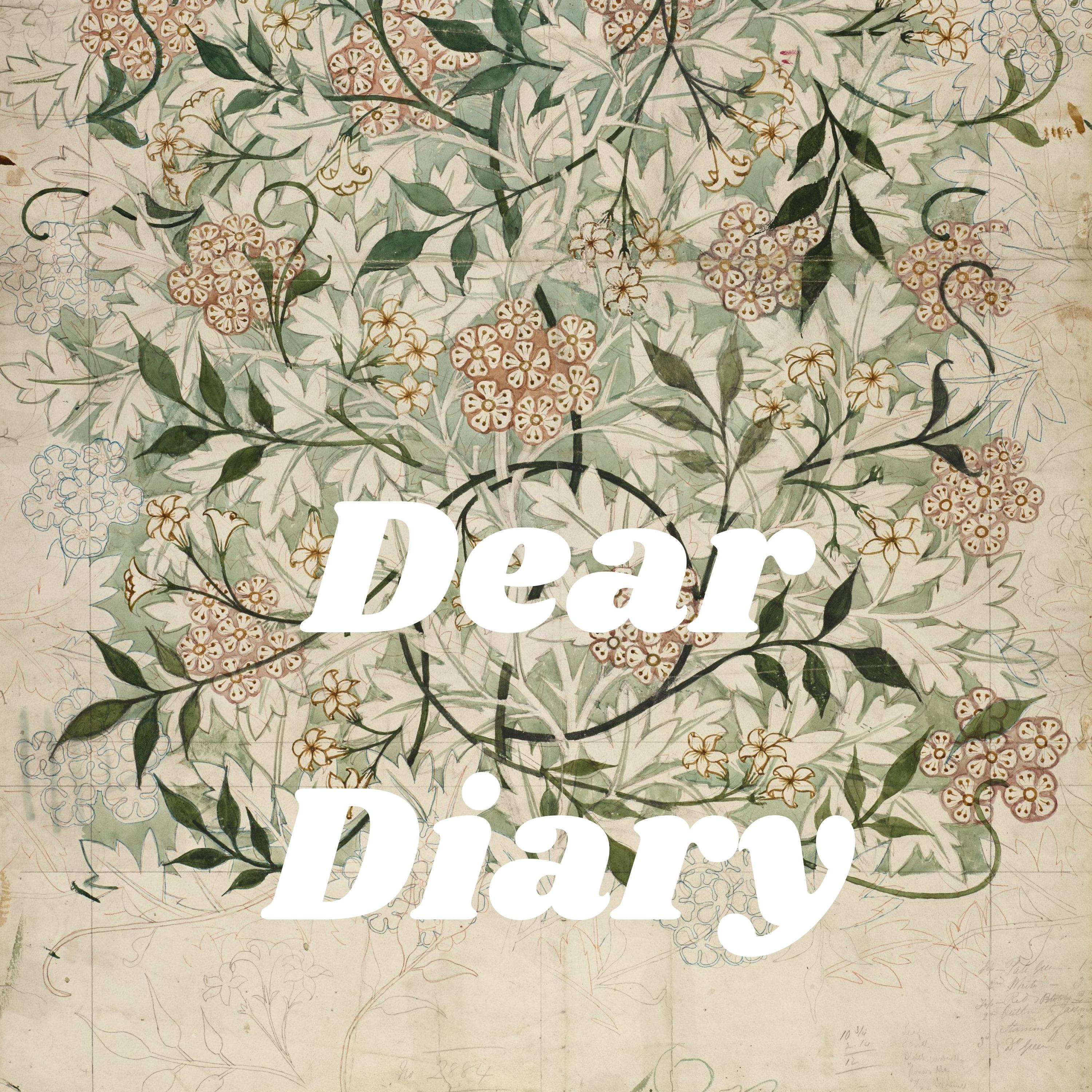 Dear Diary