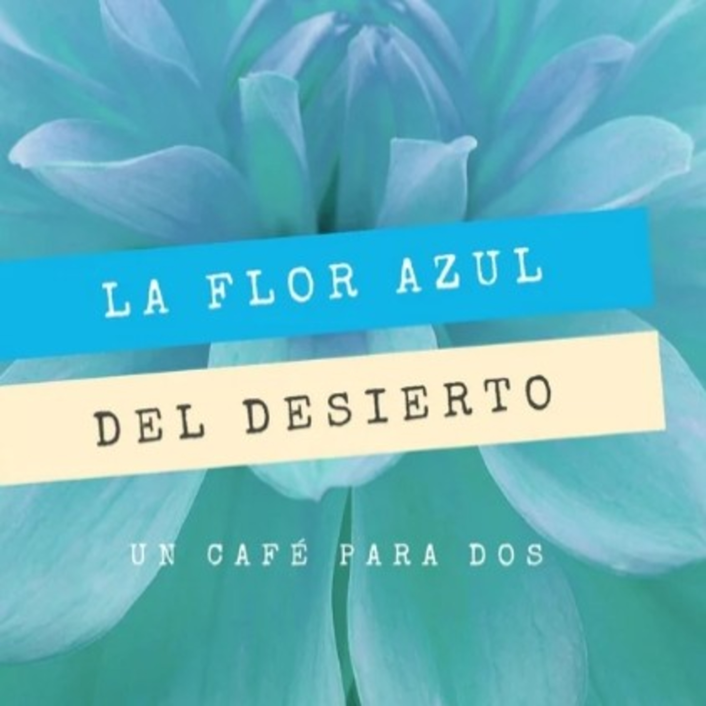 Un Café ☕ Para Dos 