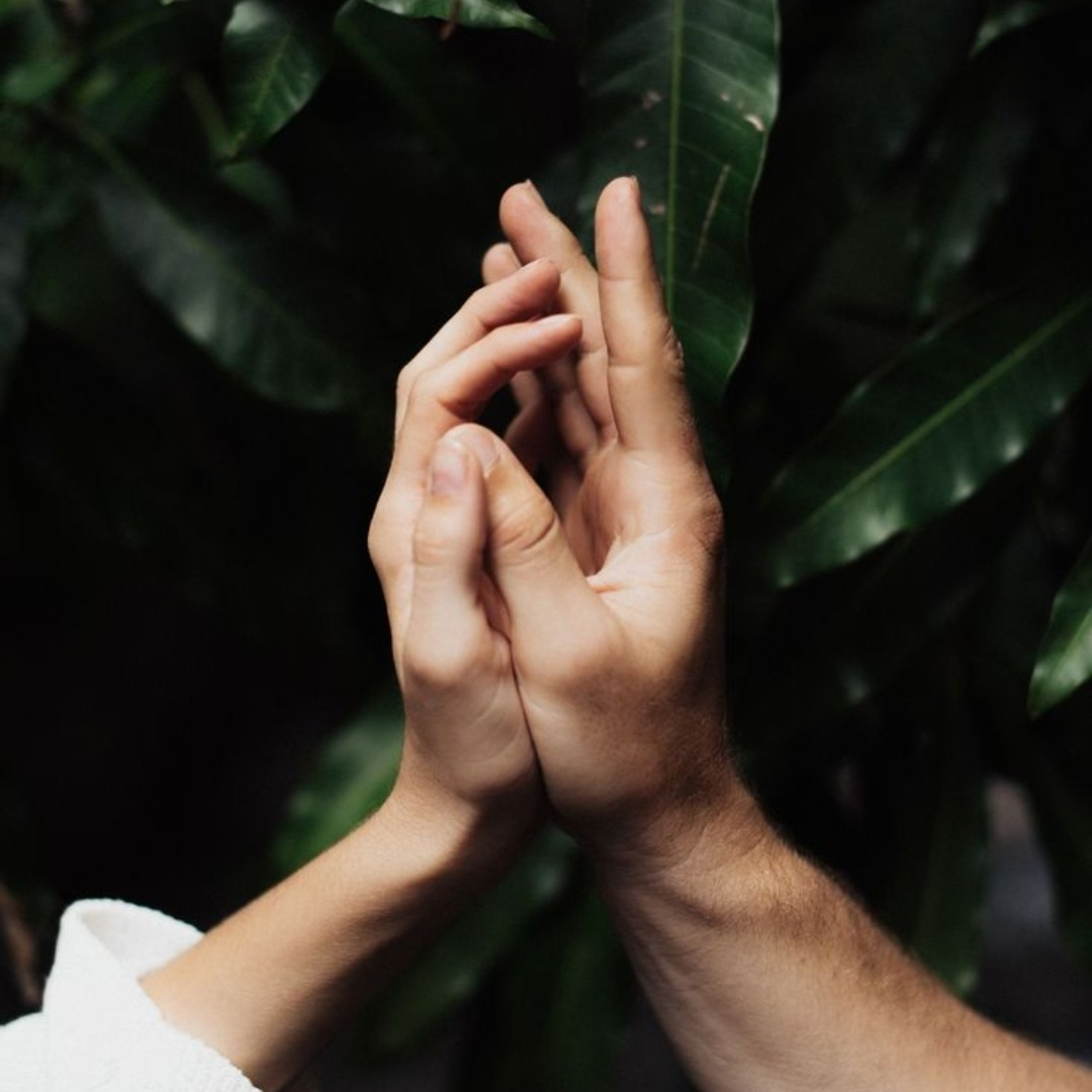 Entre Perlas Y Voces