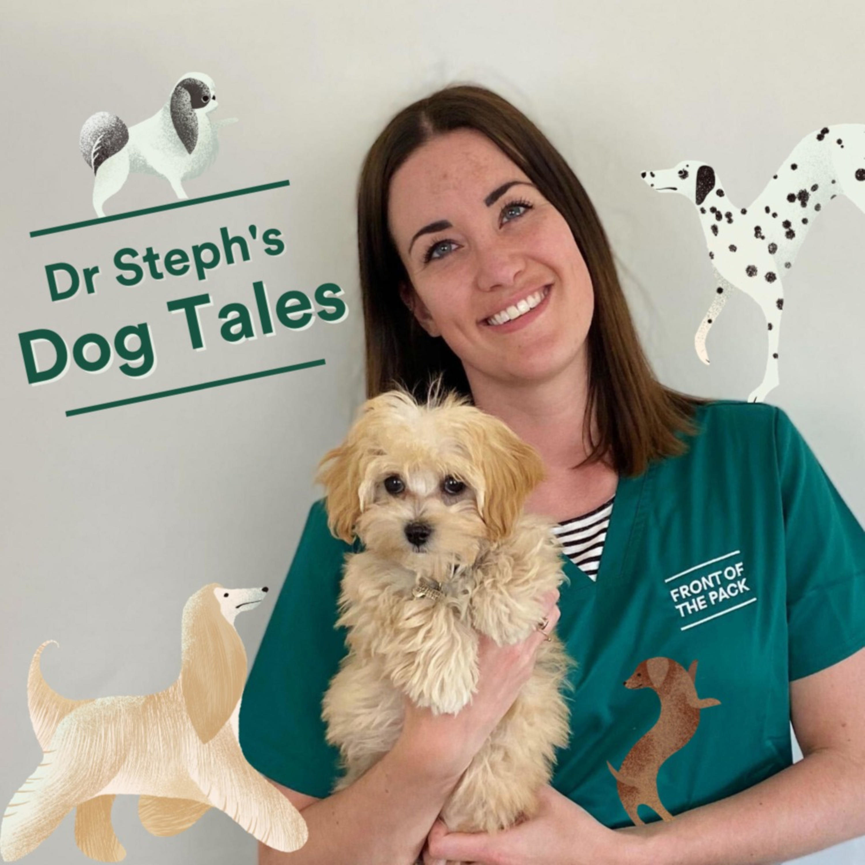 Dr Steph\'s Vet Bites