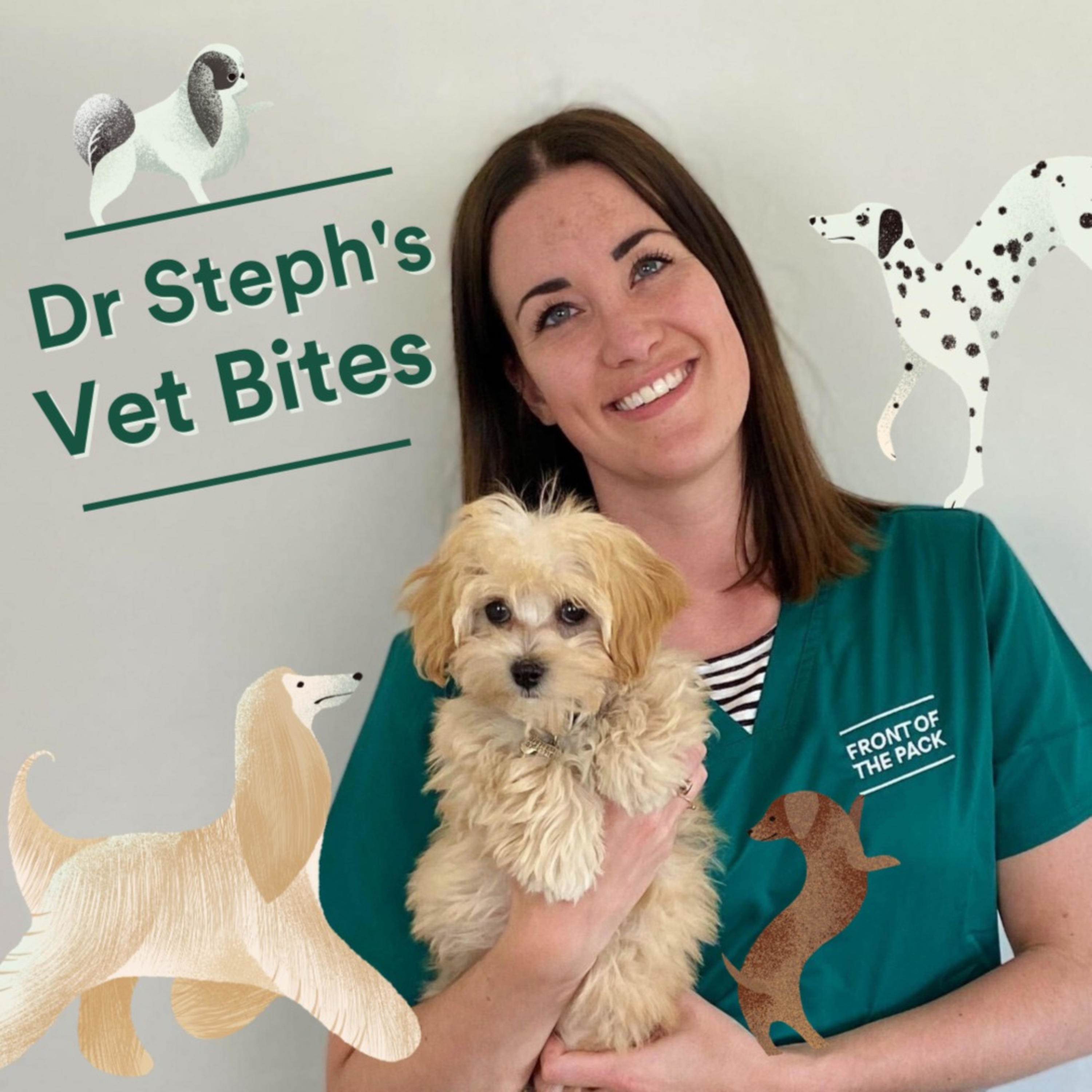 Dr Steph\'s Vet Bites