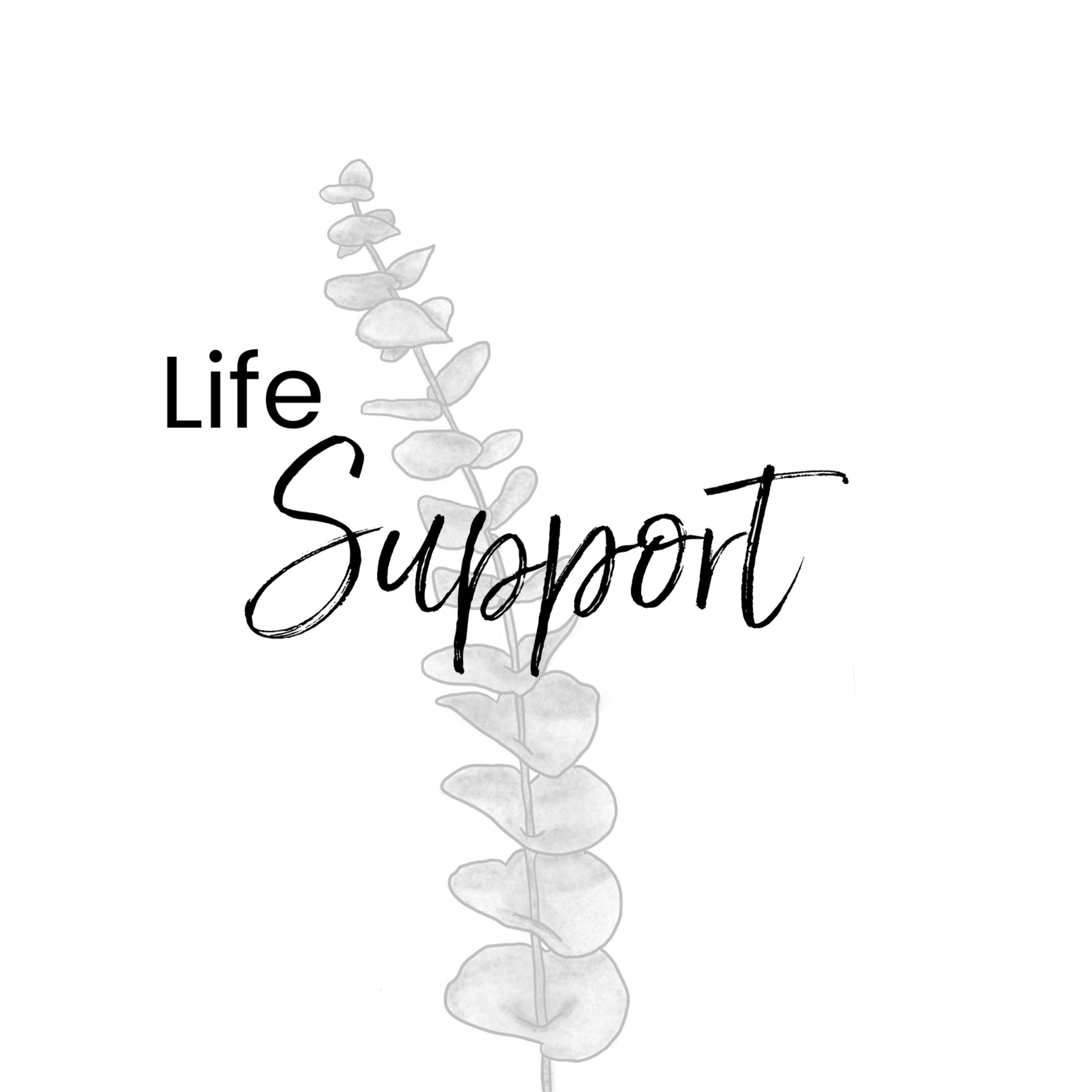 Meditation to Read Your Akashic Records for the First Time Meditation to Read Your Akashic Records for the First Time