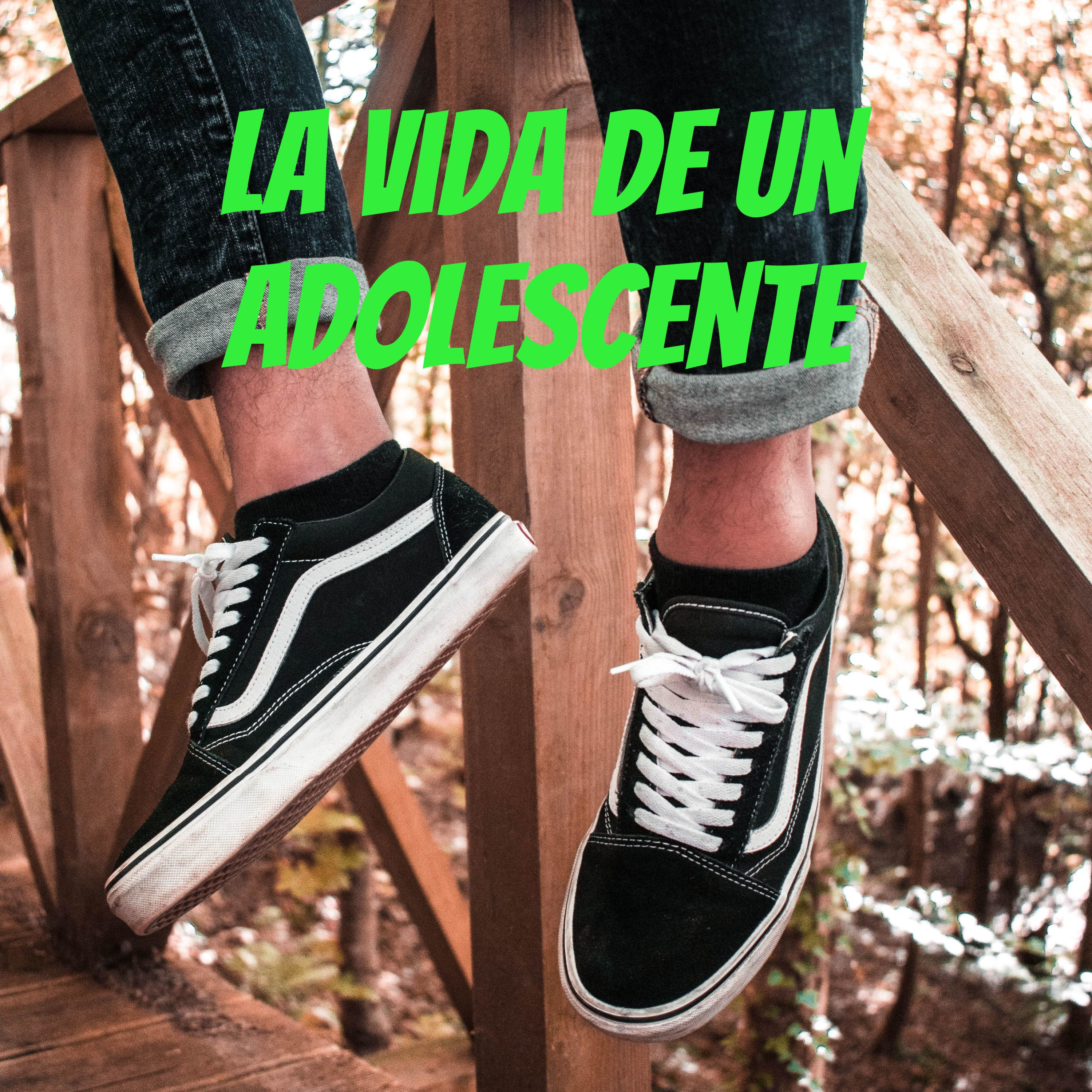 La vida de un adolescente