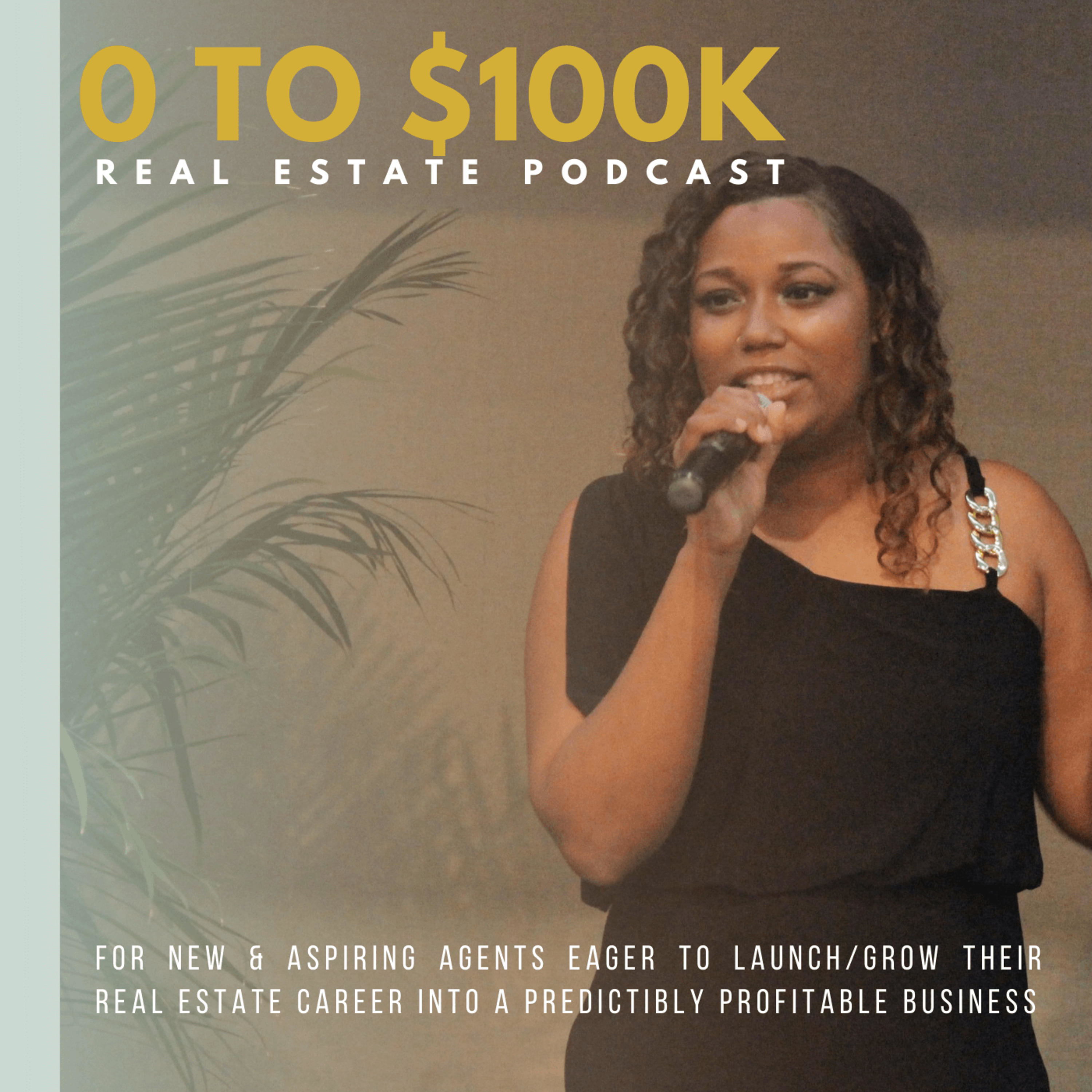 The 0 to $100K Podcast