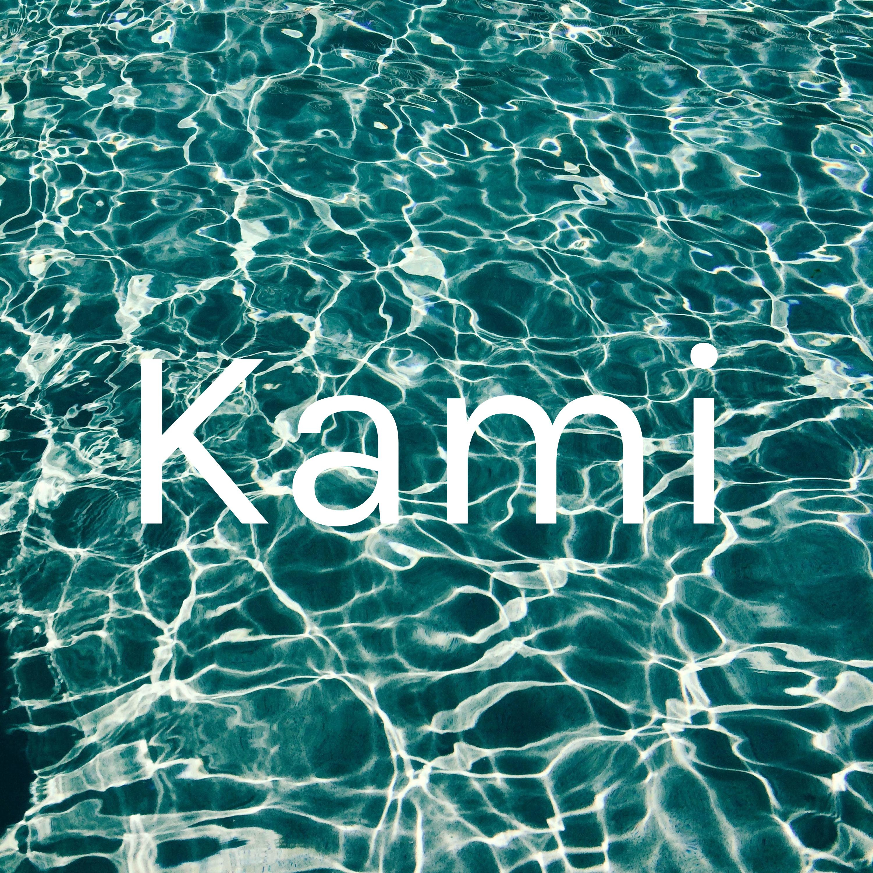 Kami cover art