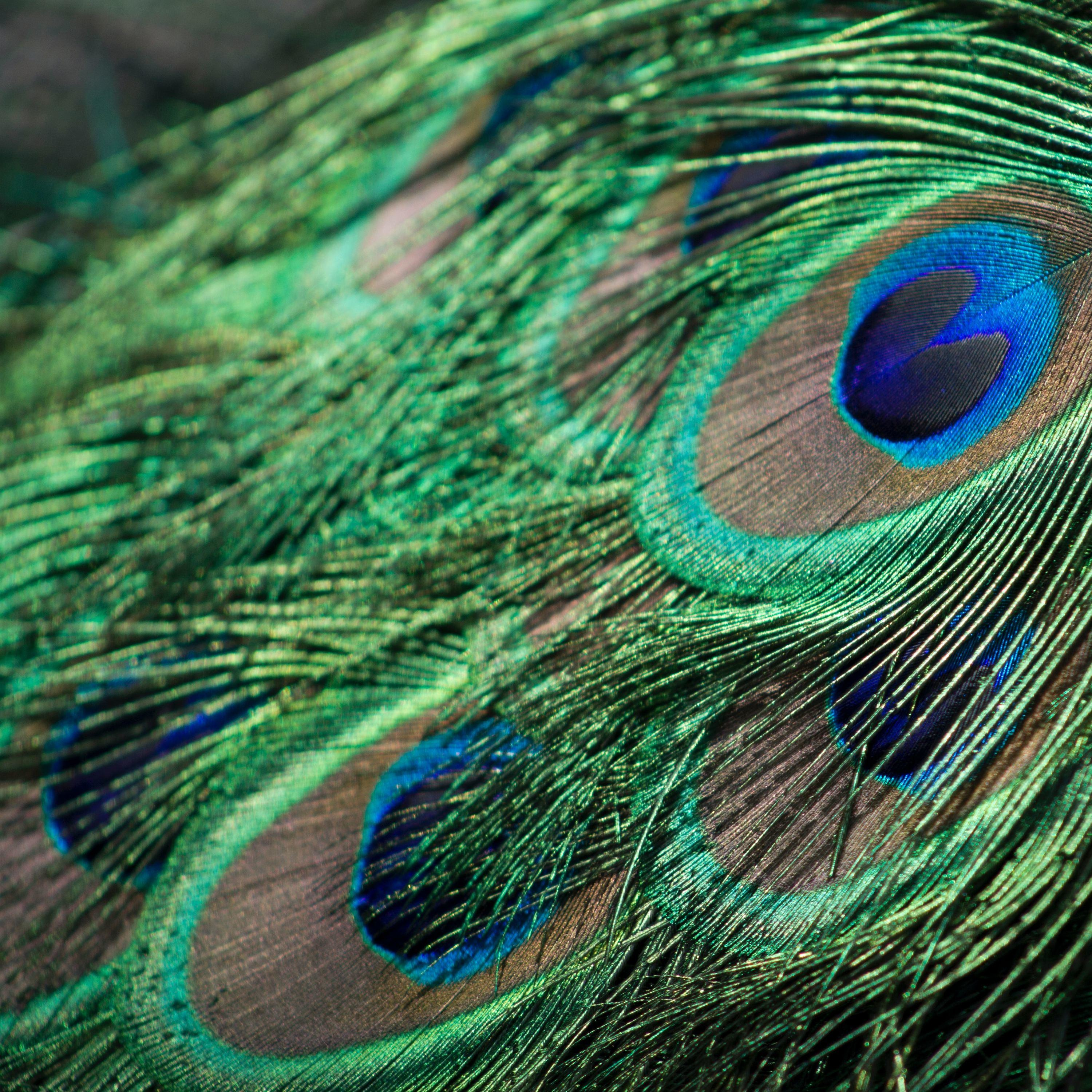 Магия и эзотерика cover art