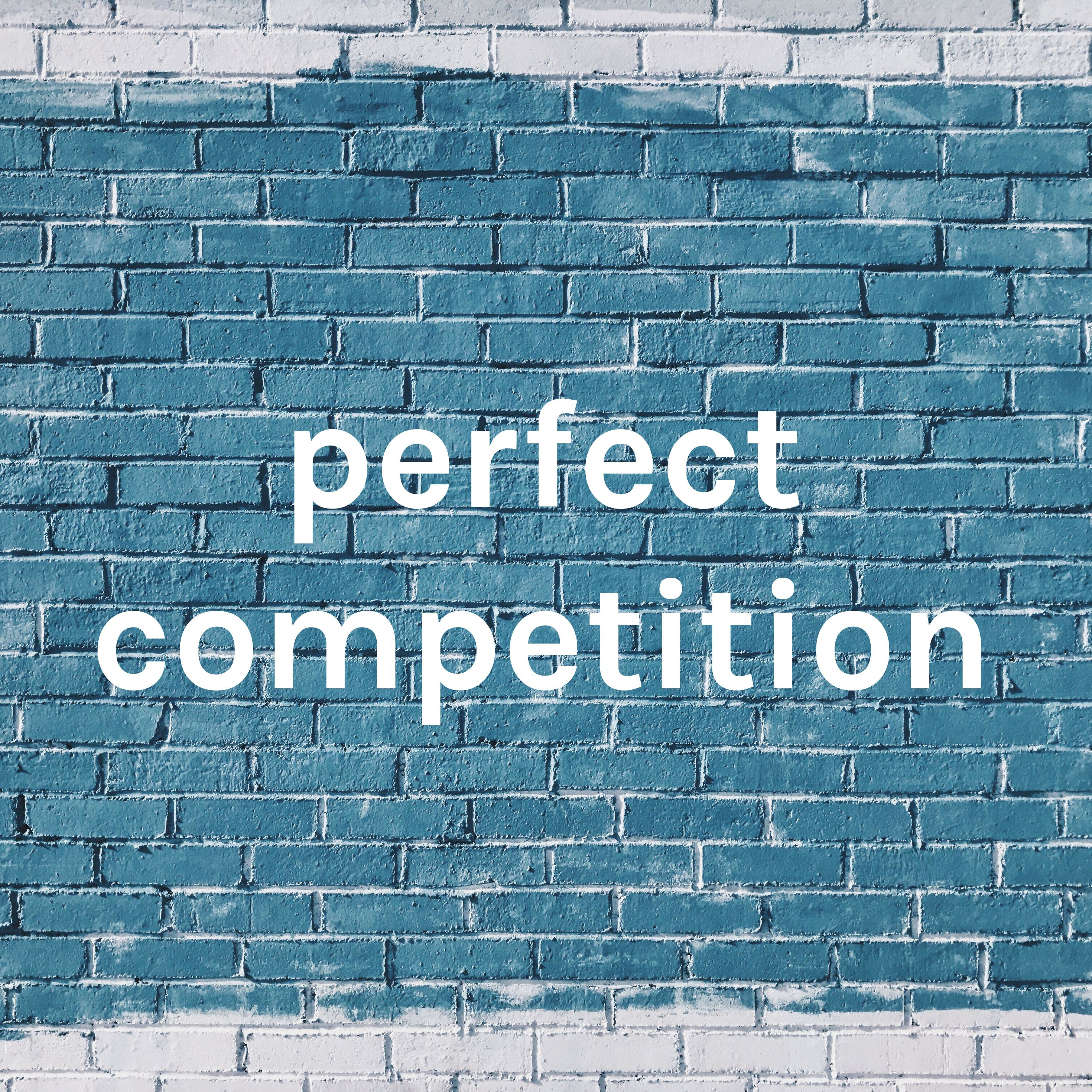 perfect competition