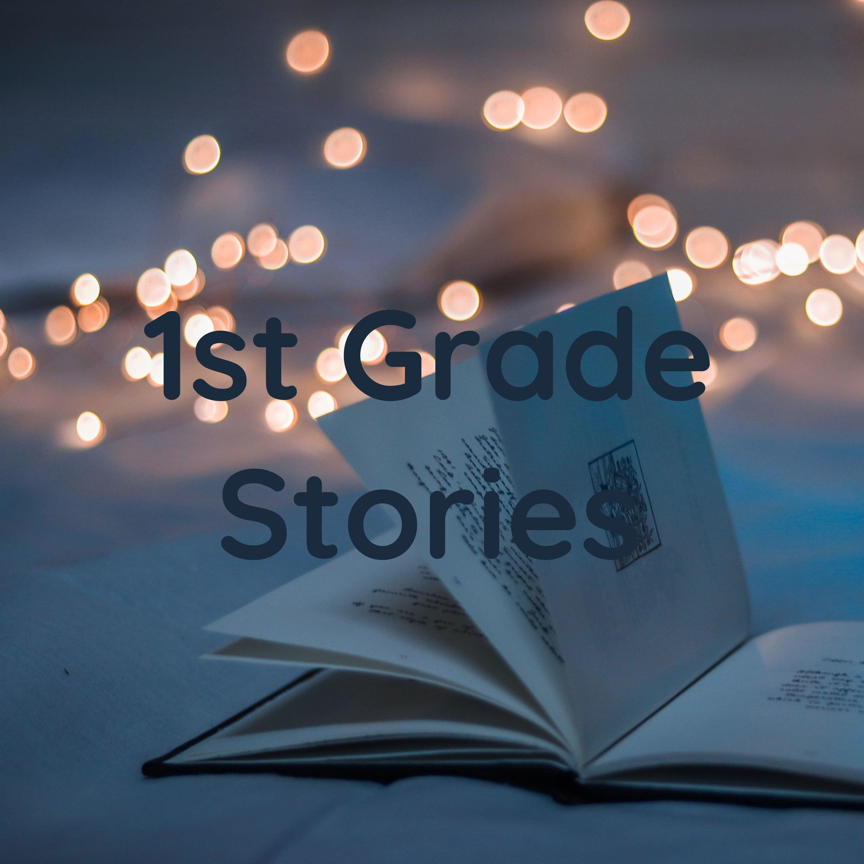 1st Grade Stories