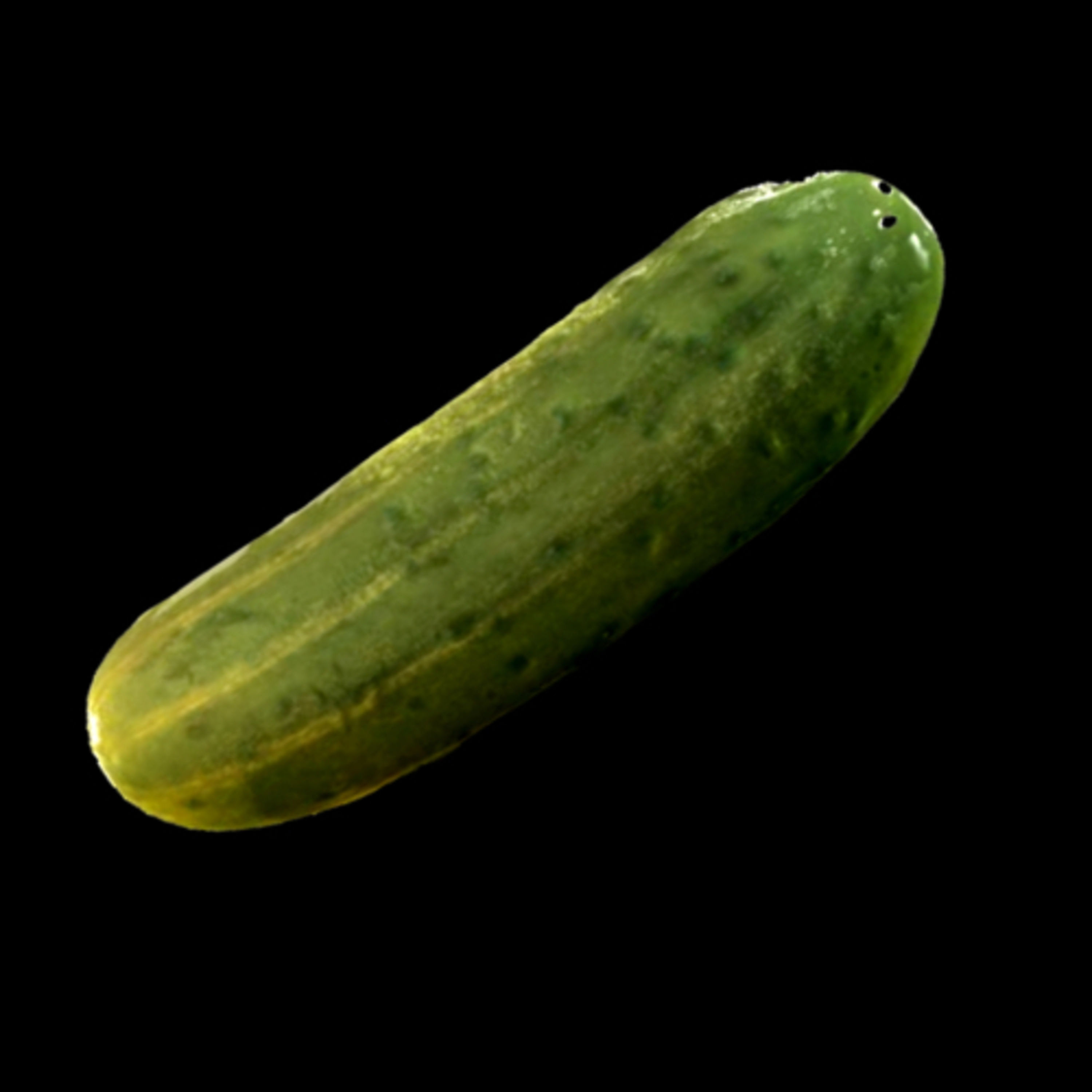 The Moonshine Pickle Boys