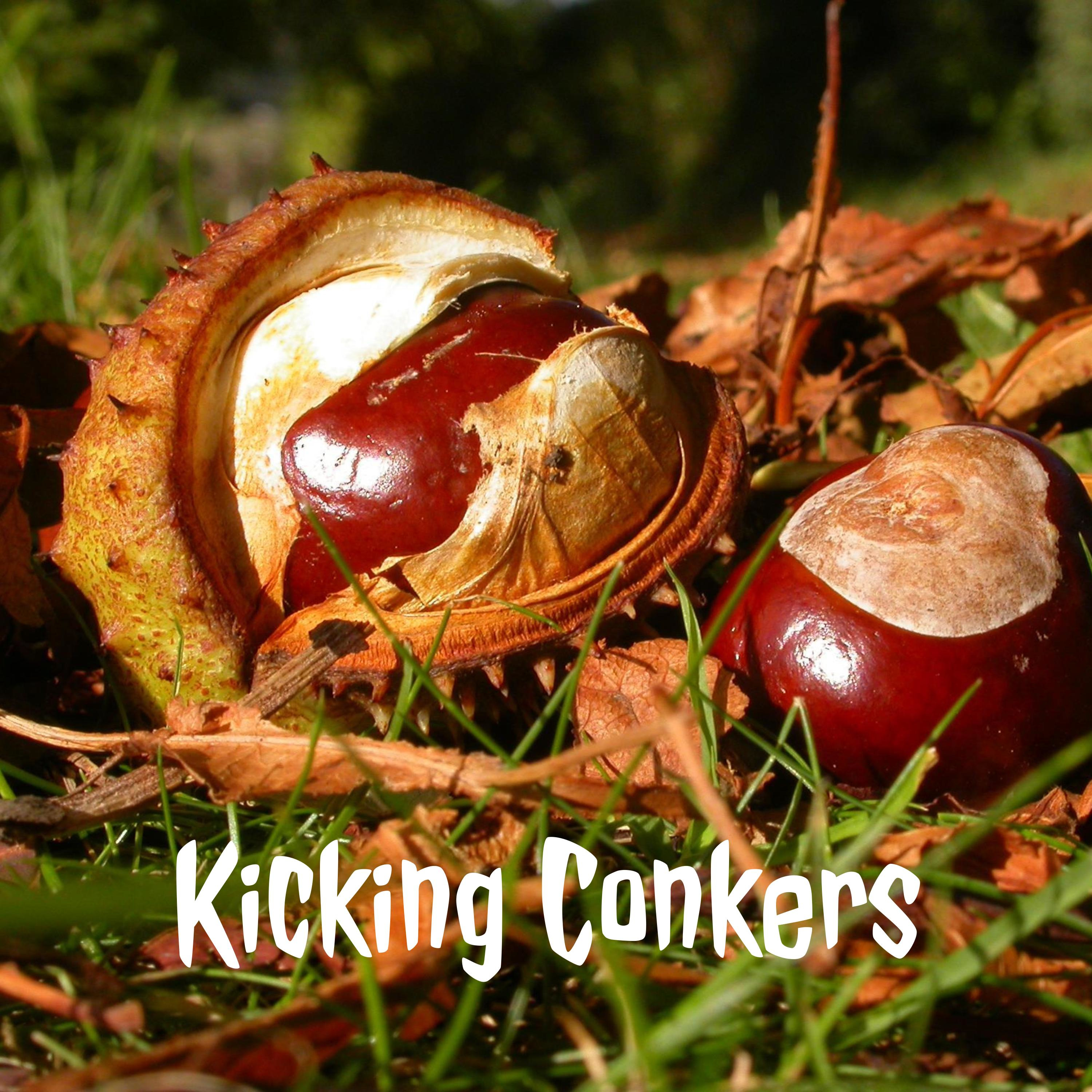 Kicking Conkers