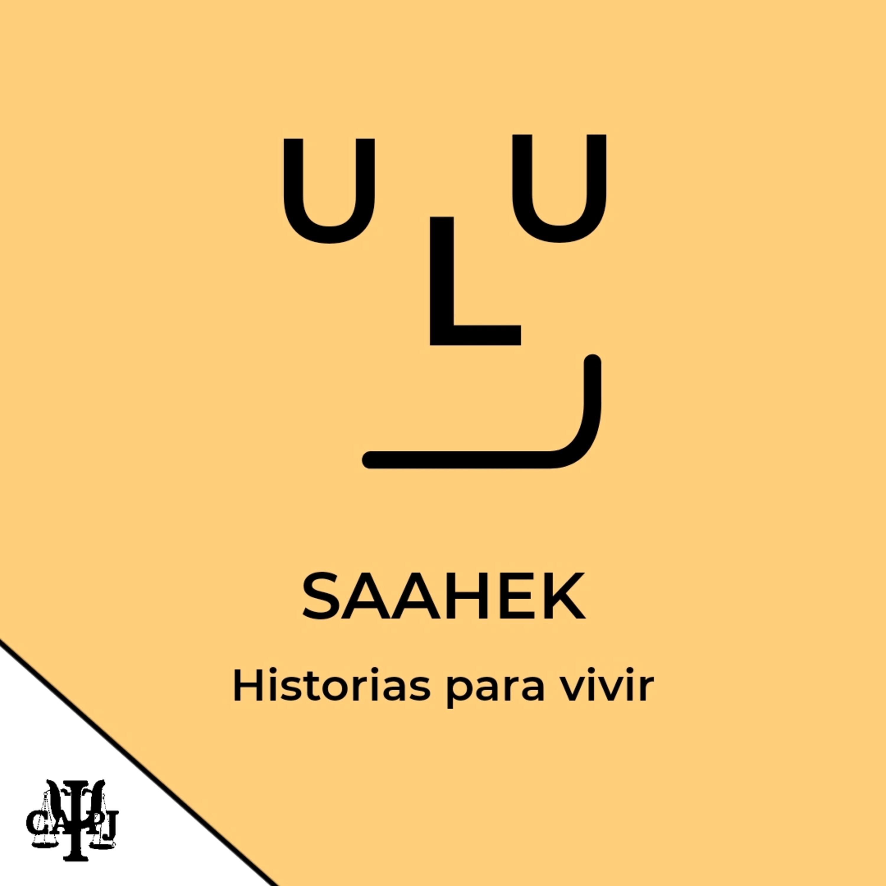 Saahek: Historias para vivir