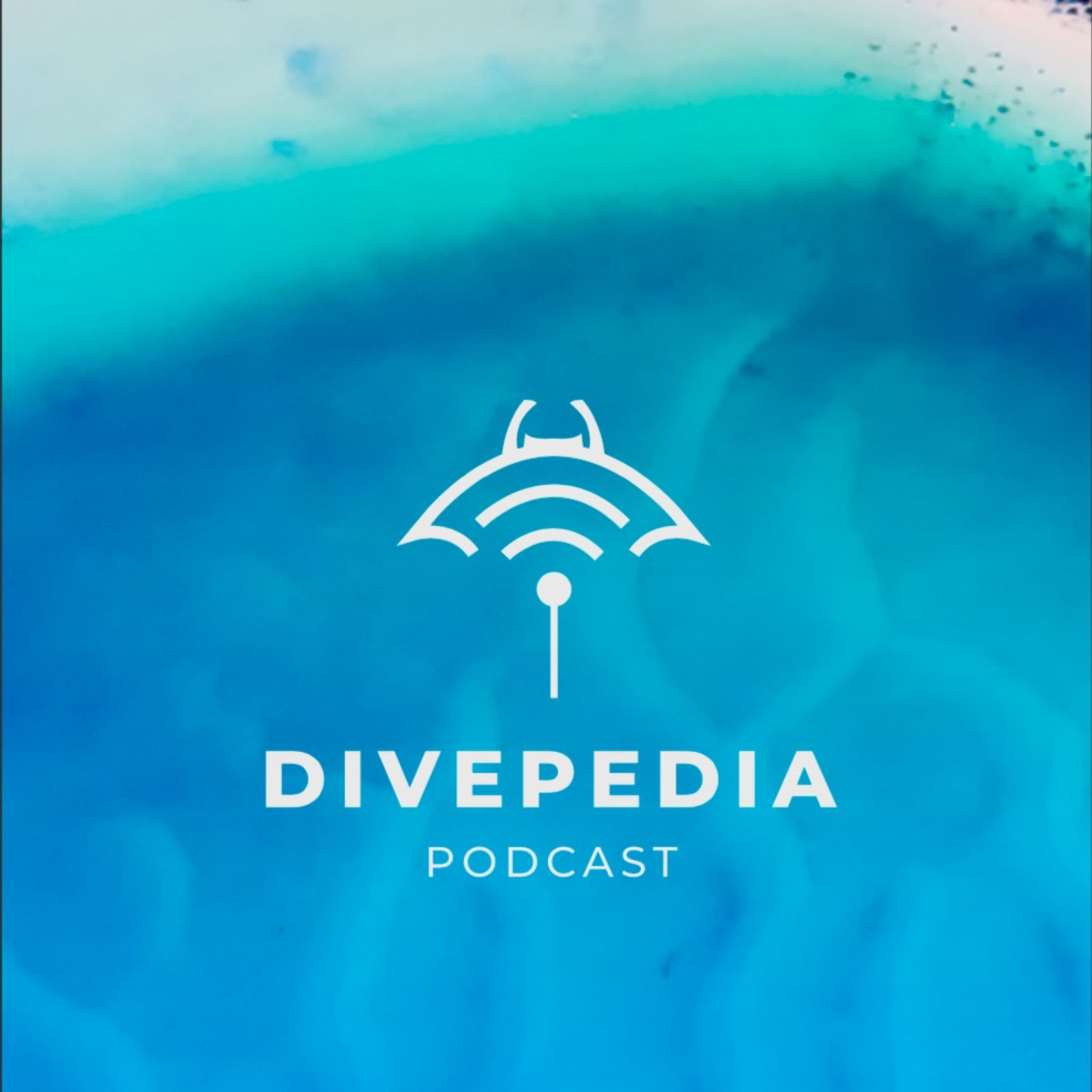 Divepedia podcast artwork