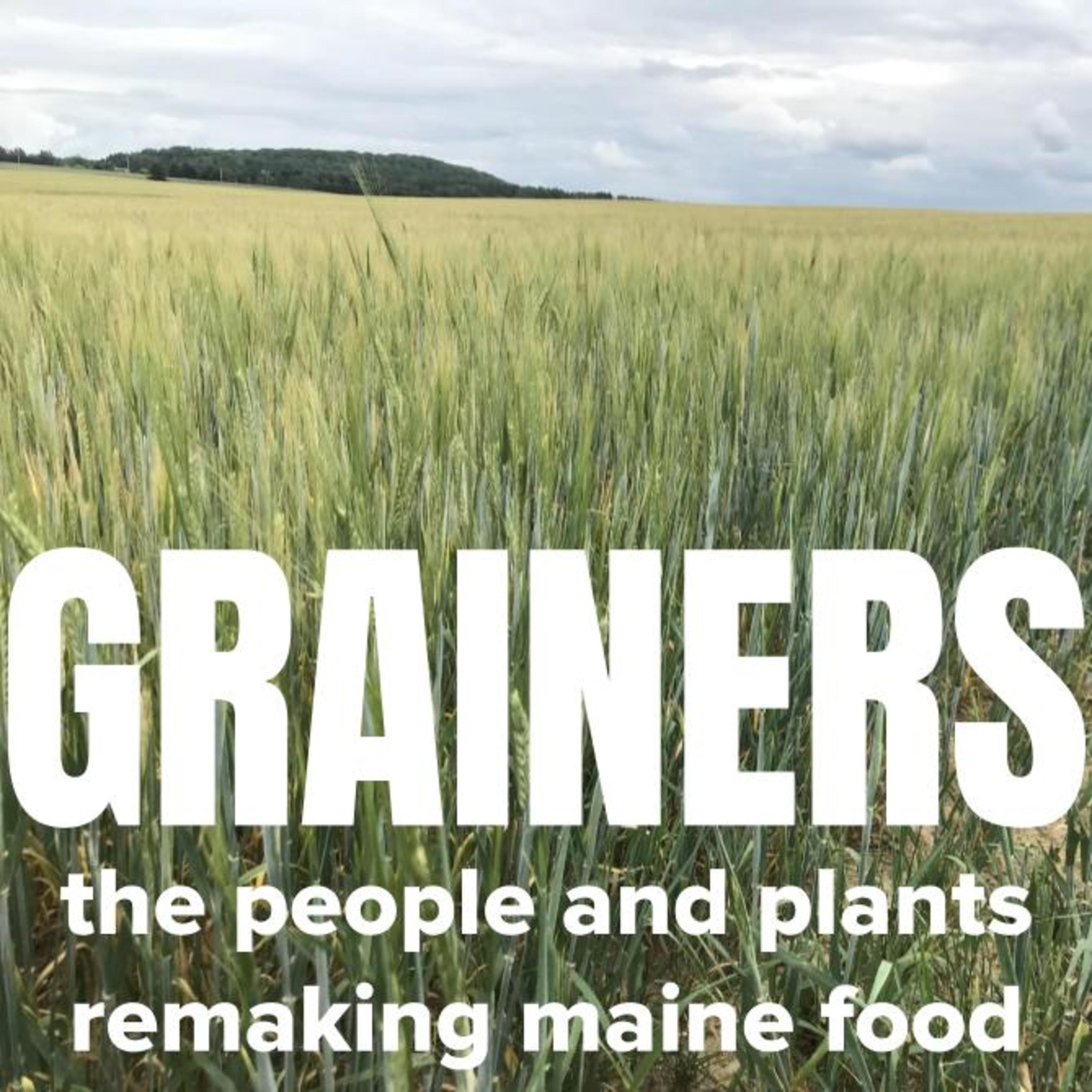 Grainers