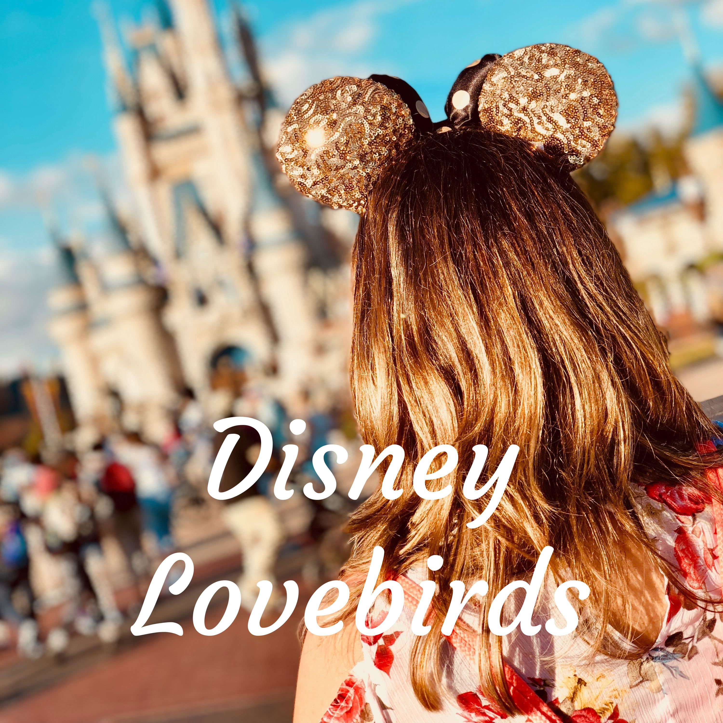 Disney Lovebirds