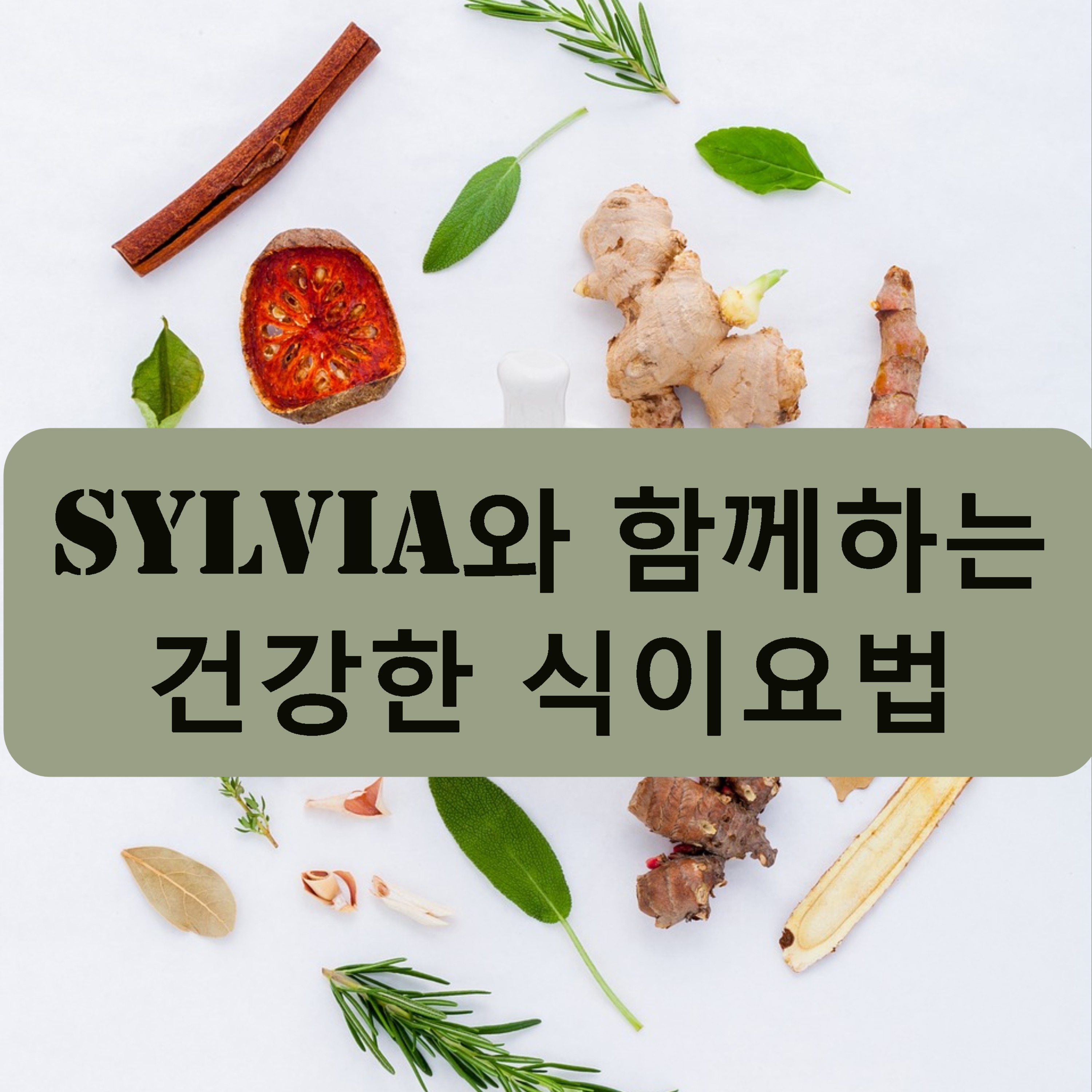임상 영양사 Sylvia와 함께하는 건강한 식이요법