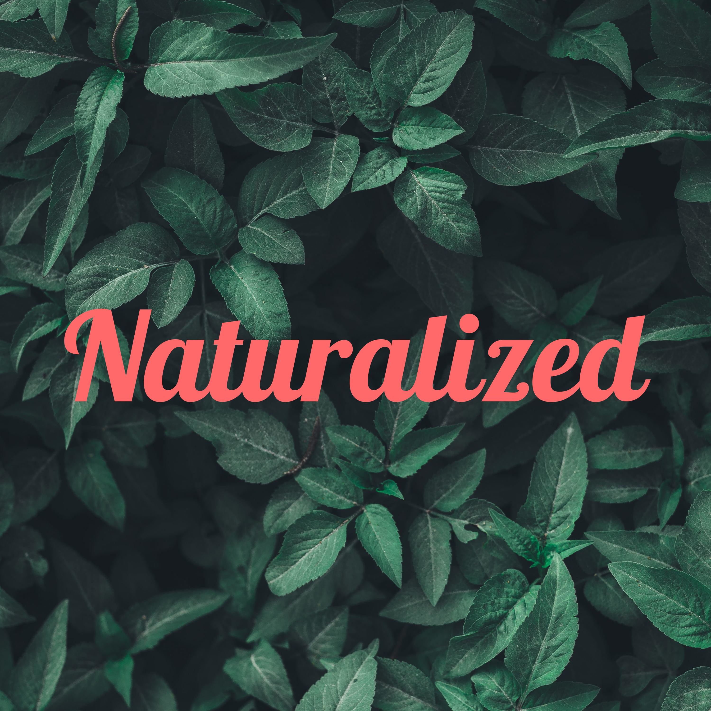 Naturalized podcast artwork