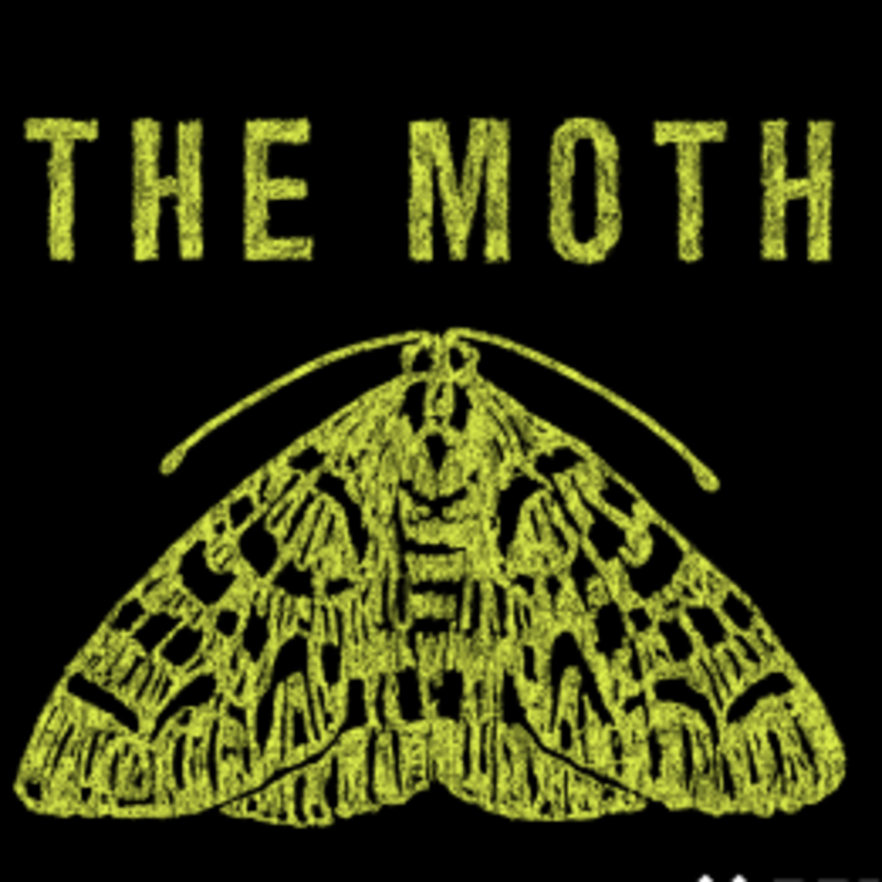 The Moth The Moth