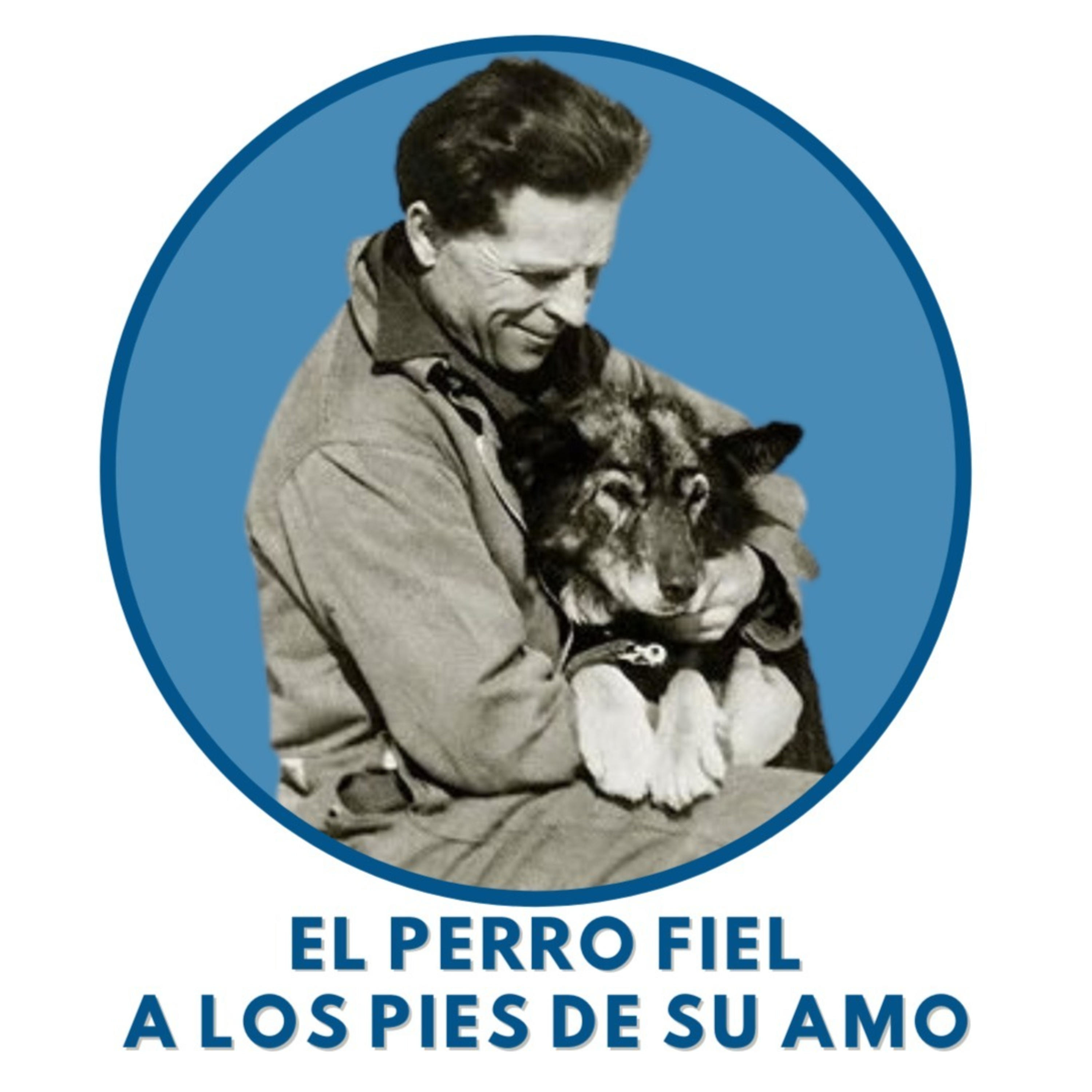 El perro fiel a los pies de su amo