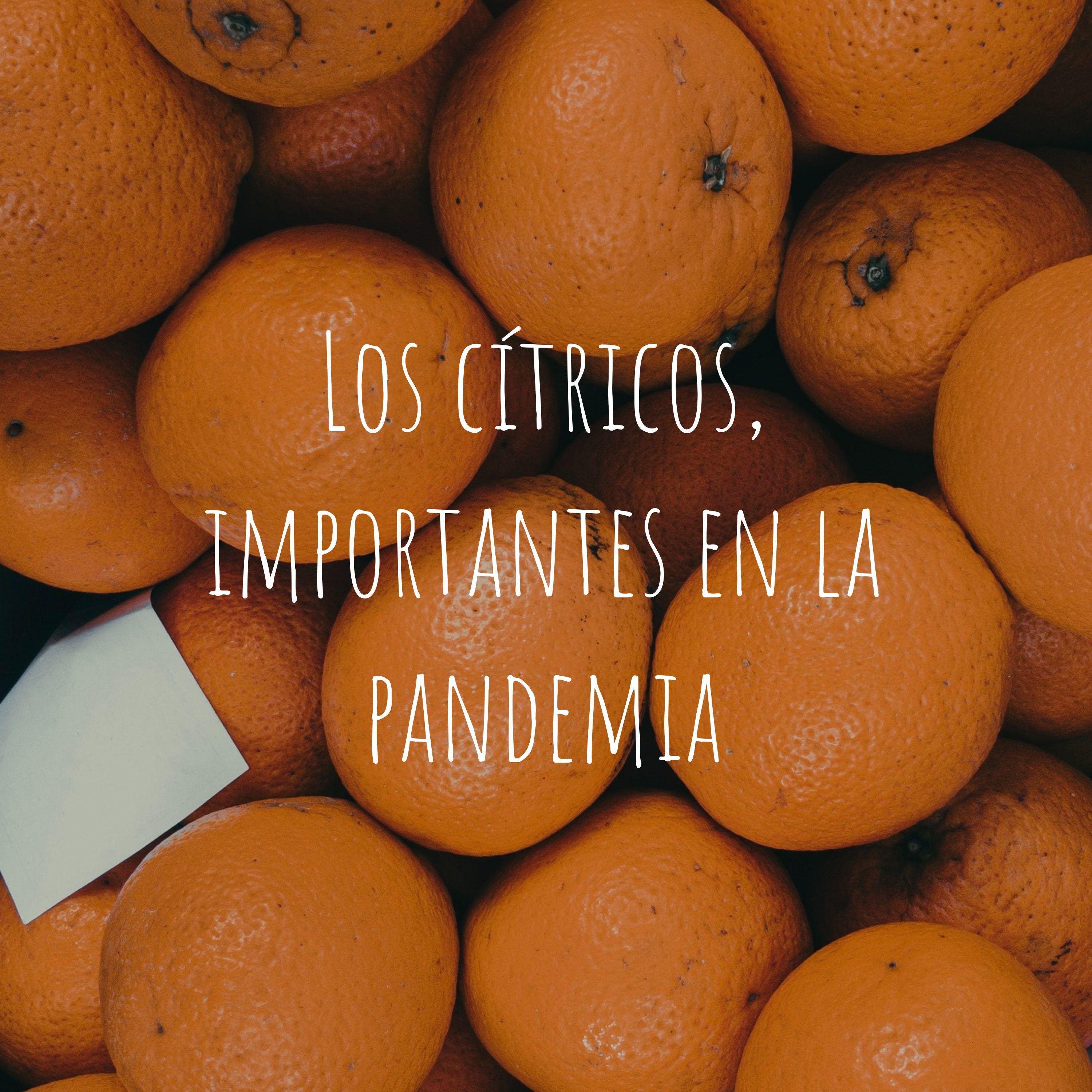 Los cítricos, importantes en la pandemia