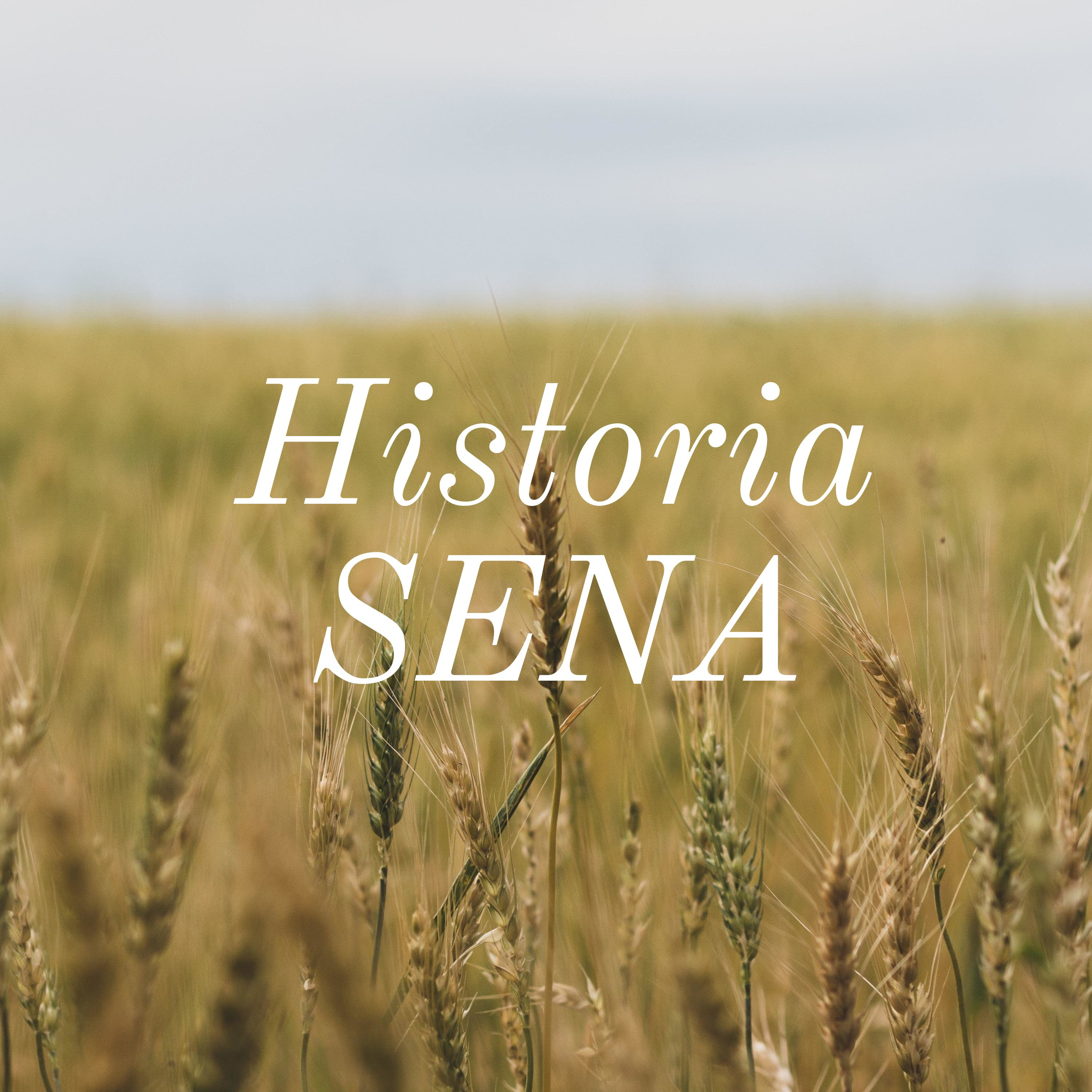 Historia SENA