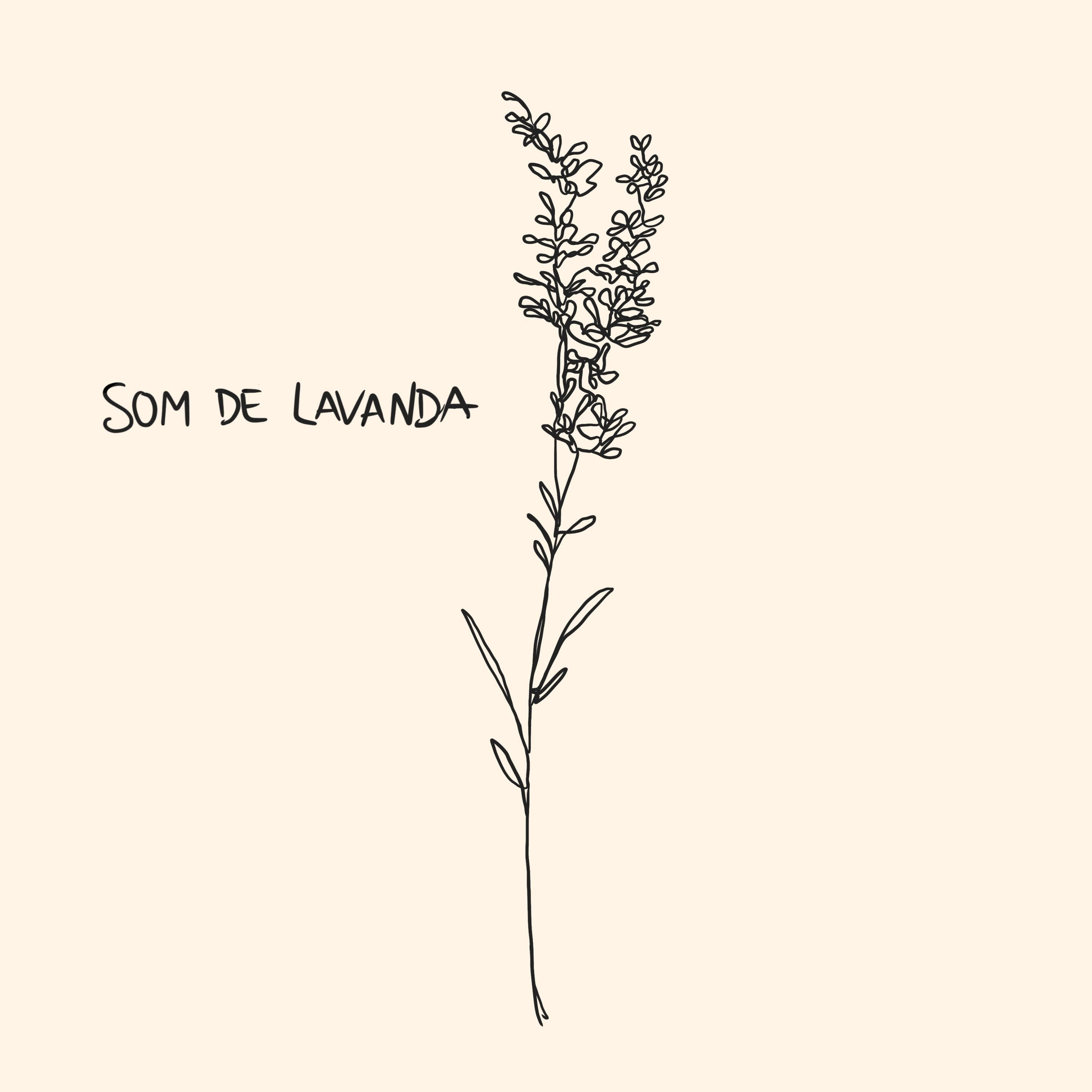 Som de Lavanda