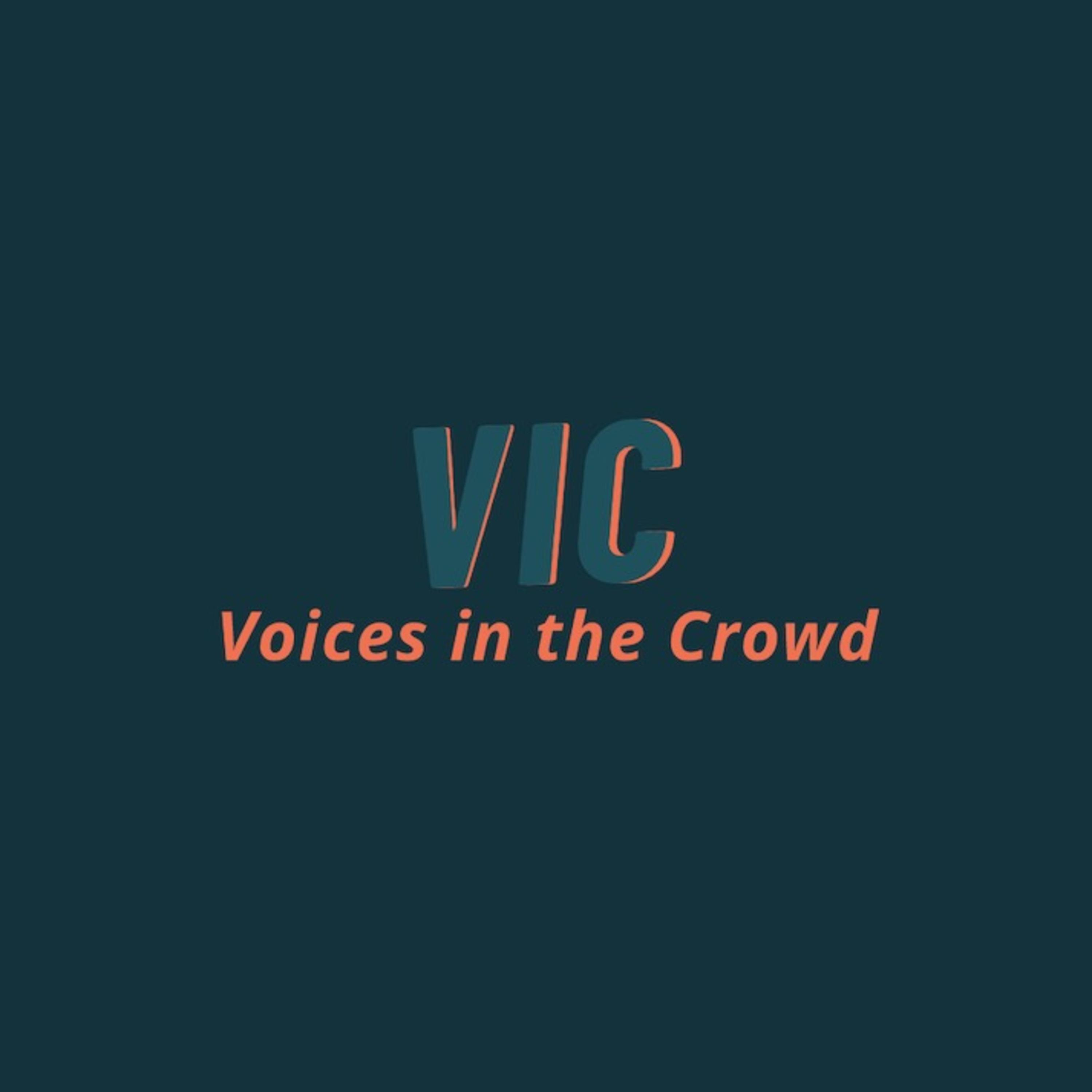 Voices in the Crowd
