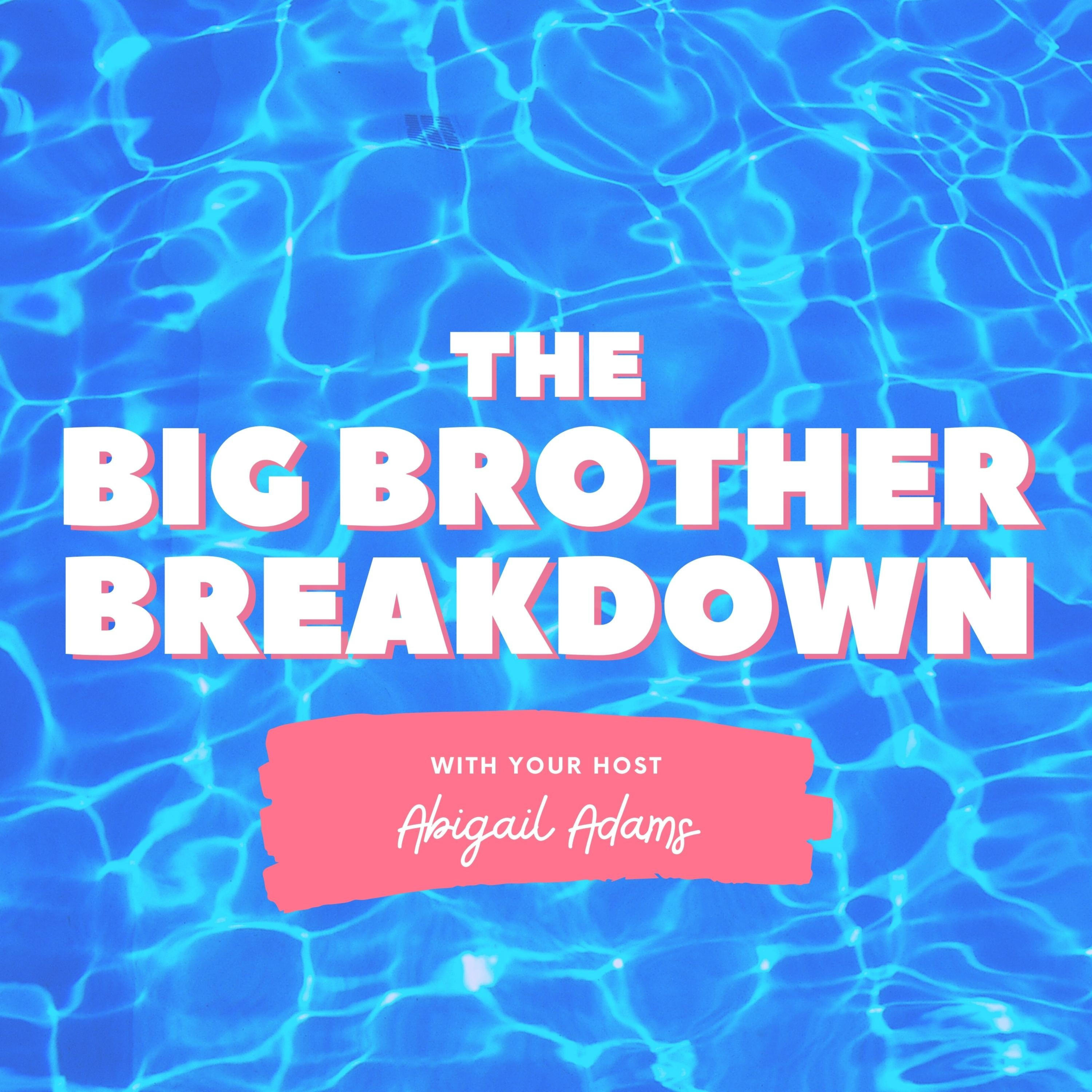 The Big Brother Breakdown