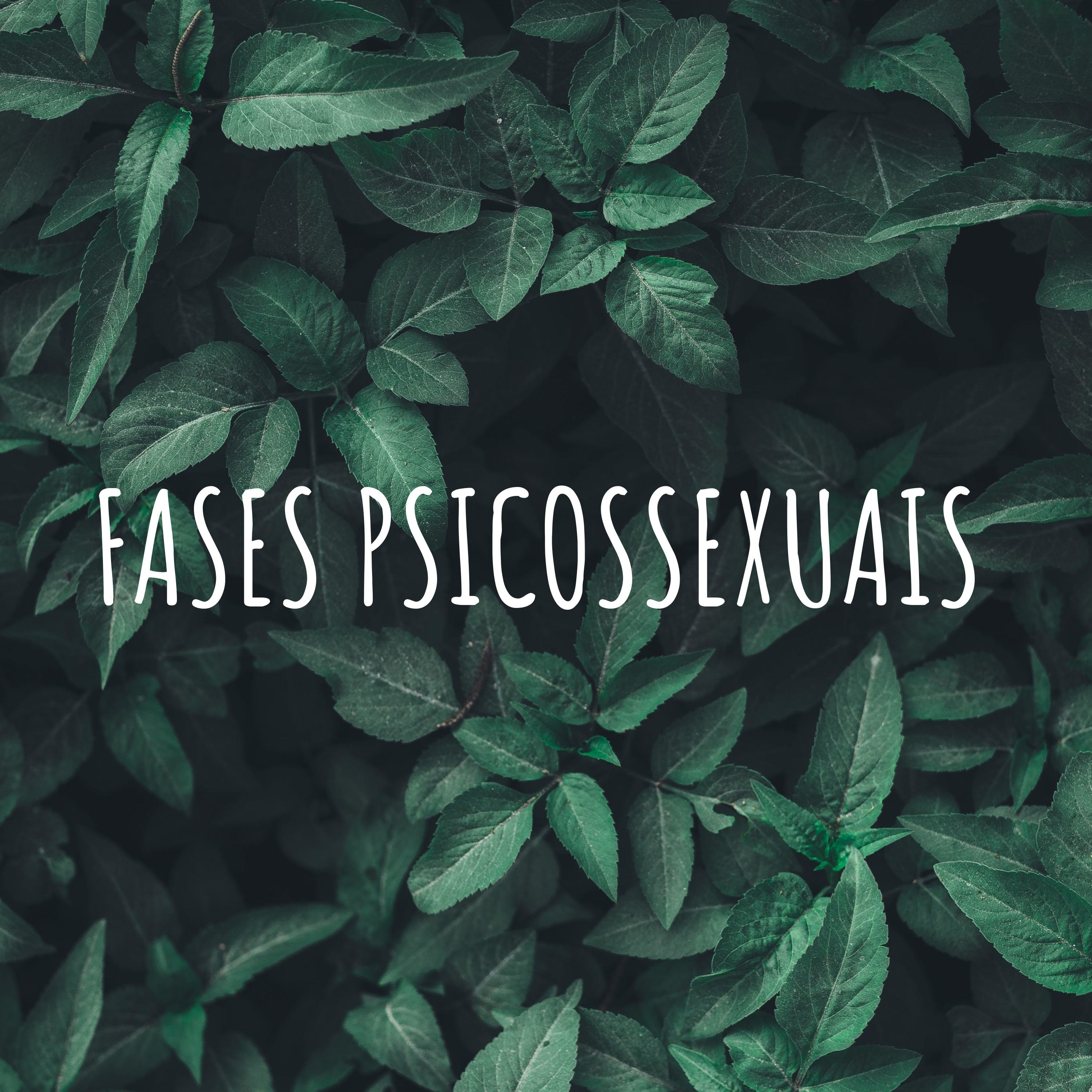 FASES PSICOSSEXUAIS