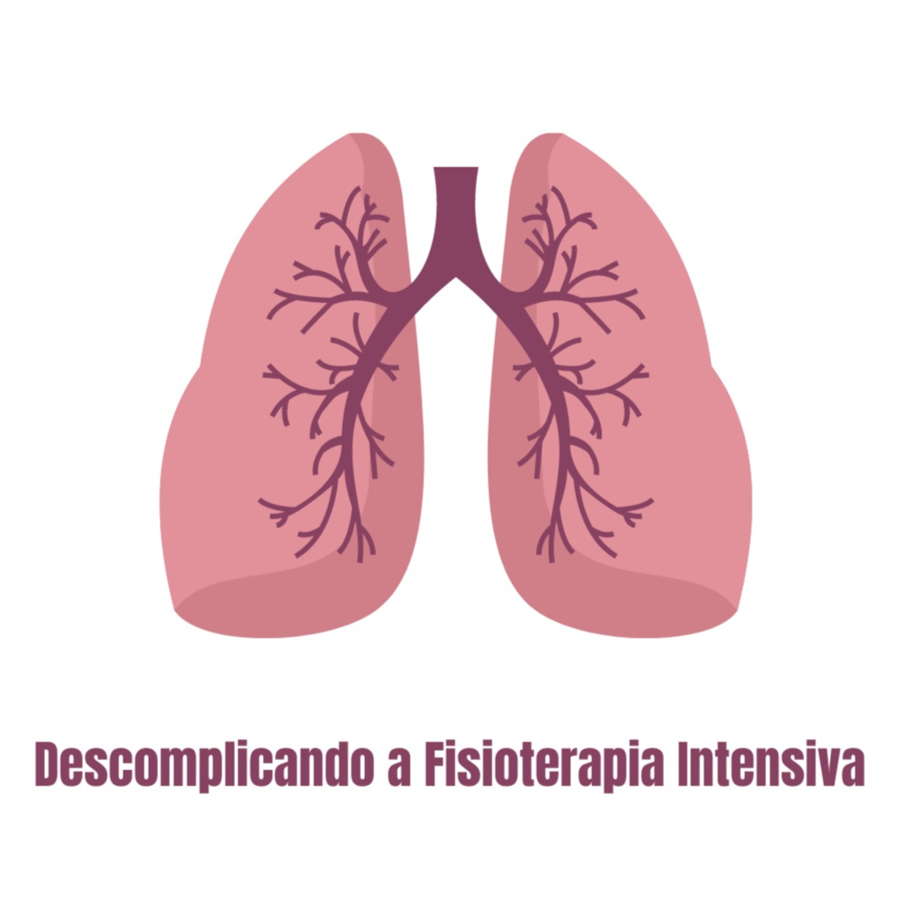 Descomplicando a Fisioterapia Intensiva