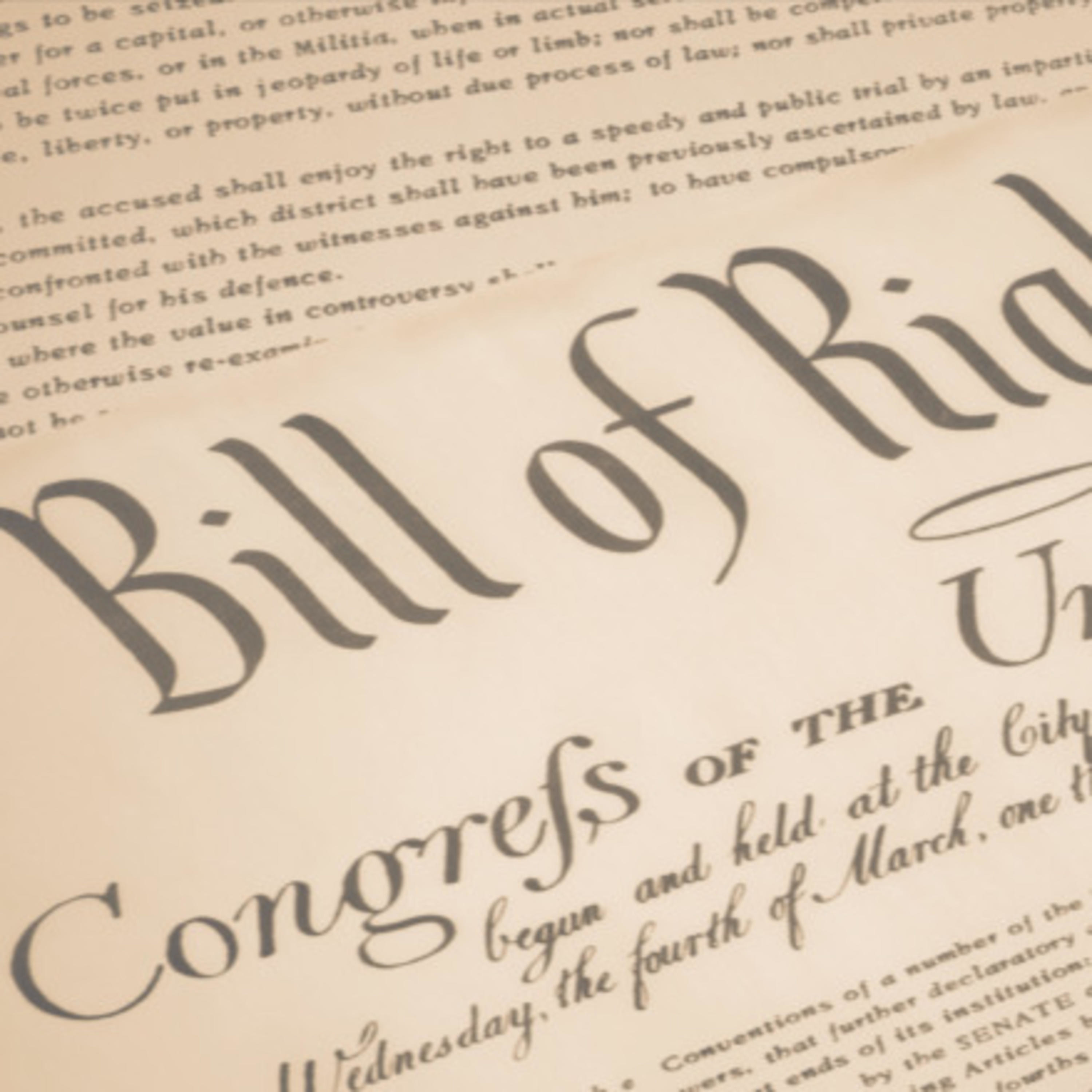 Young Views on the amendments