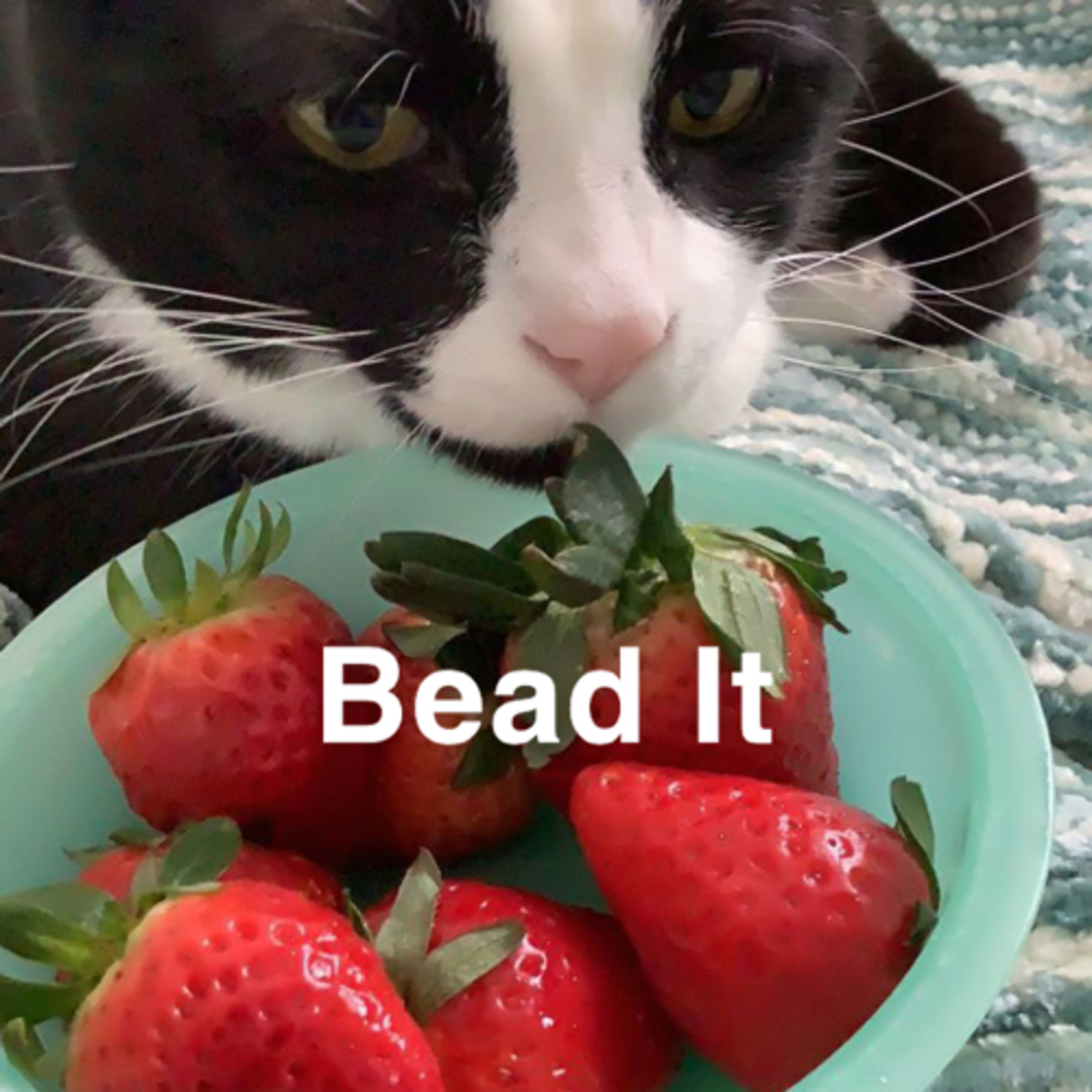 Bead It