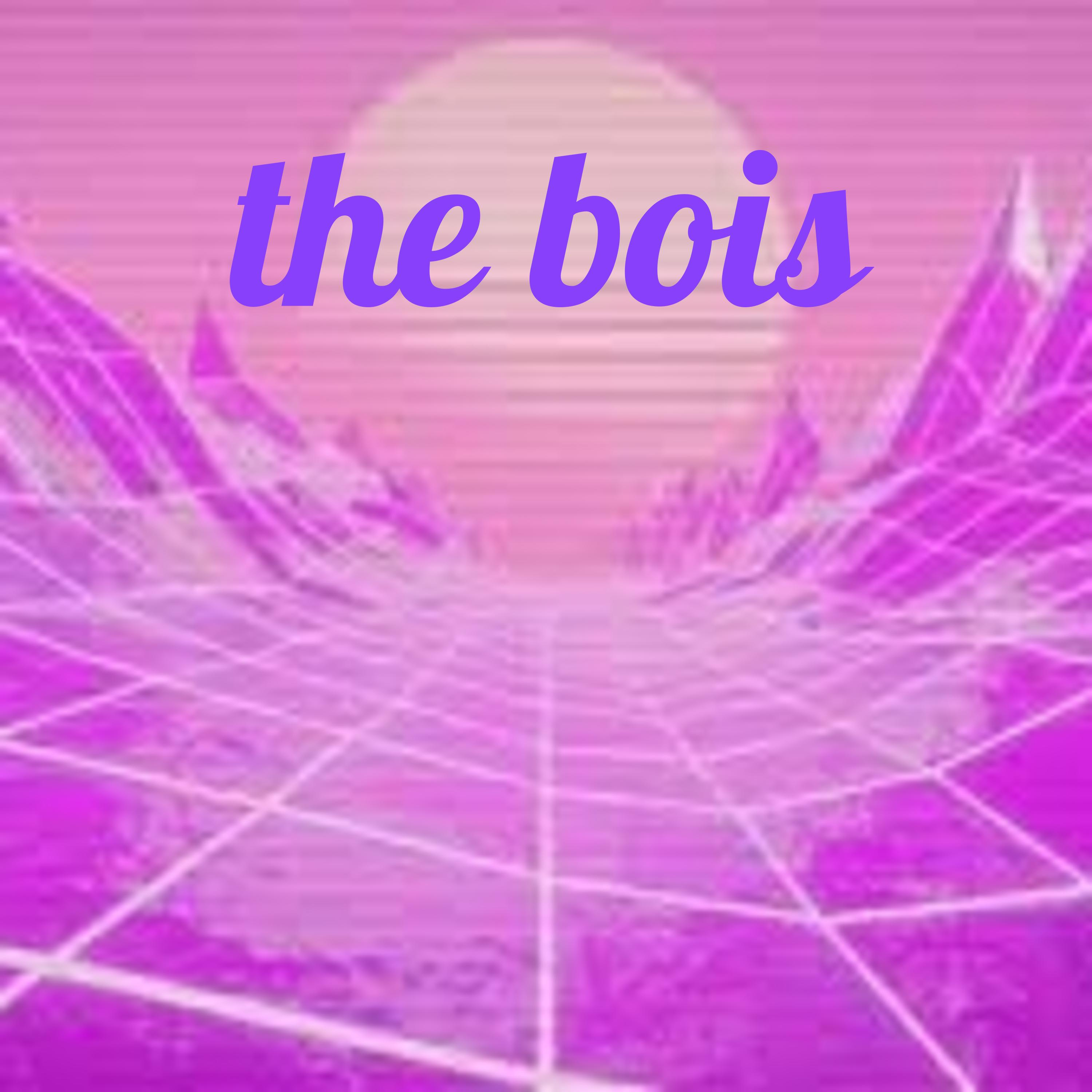the bois