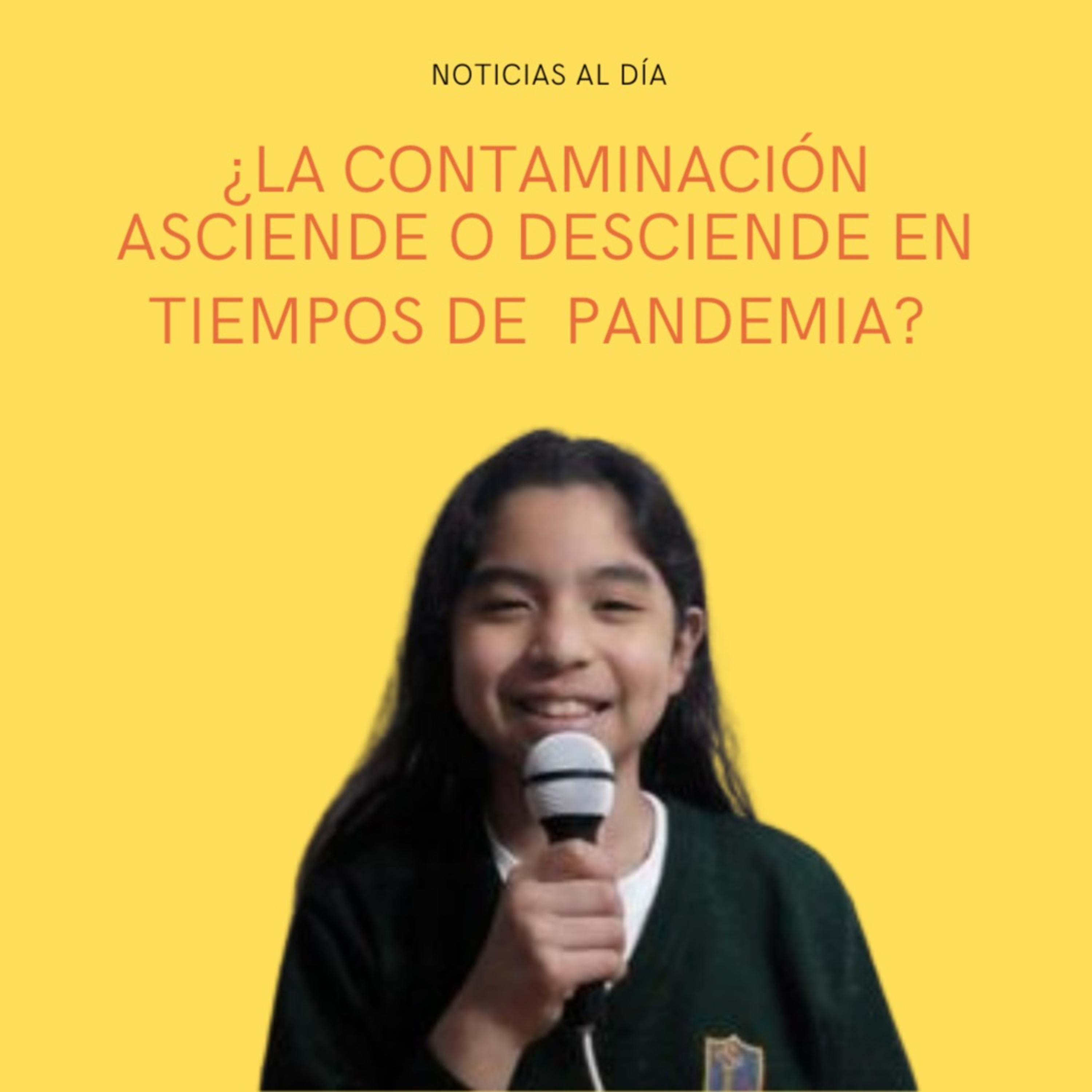 ¿La contaminación asciende o desciende en tiempos de pandemia?