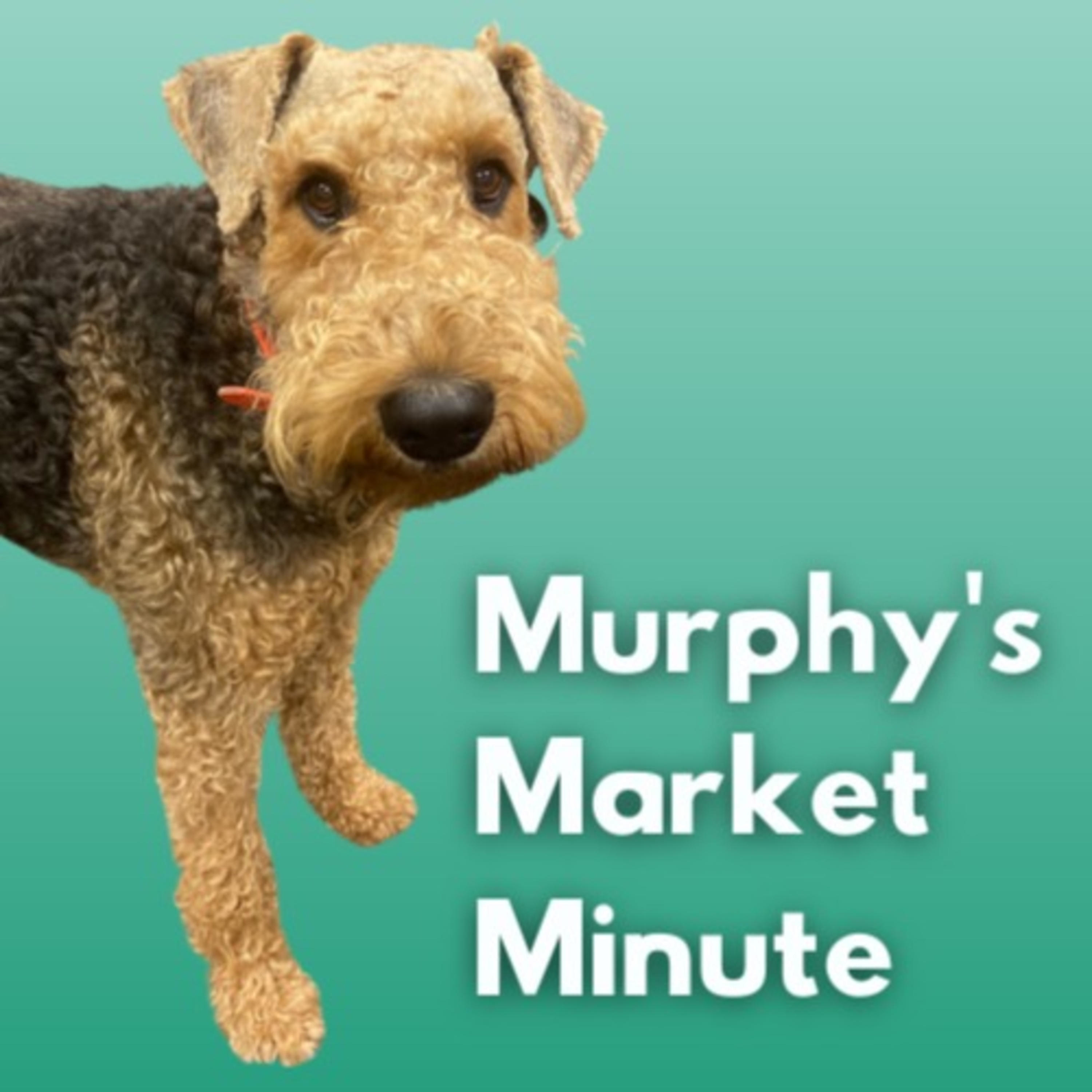 OWLFI\'s Murphy\'s Market Minute