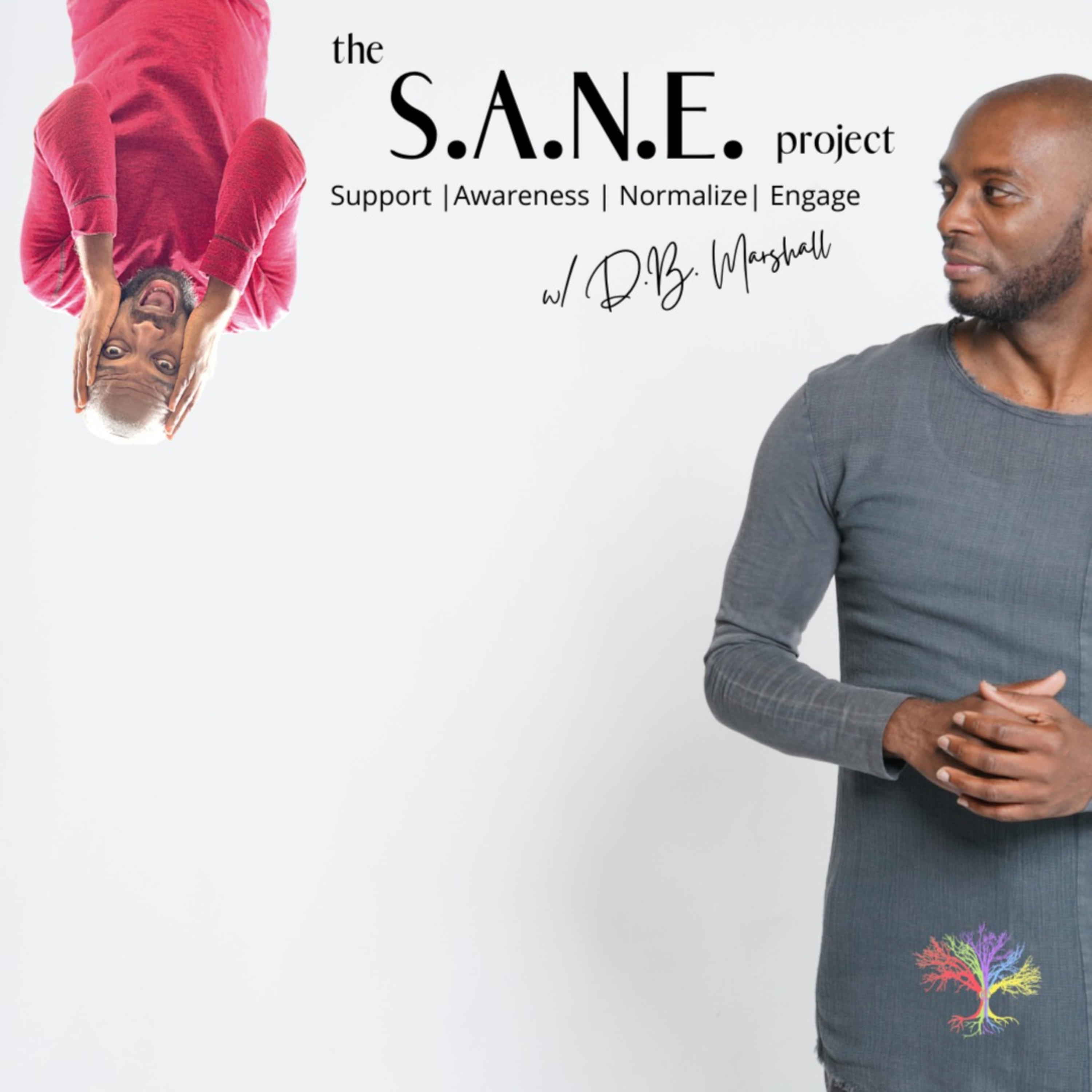 The S.A.N.E. Project