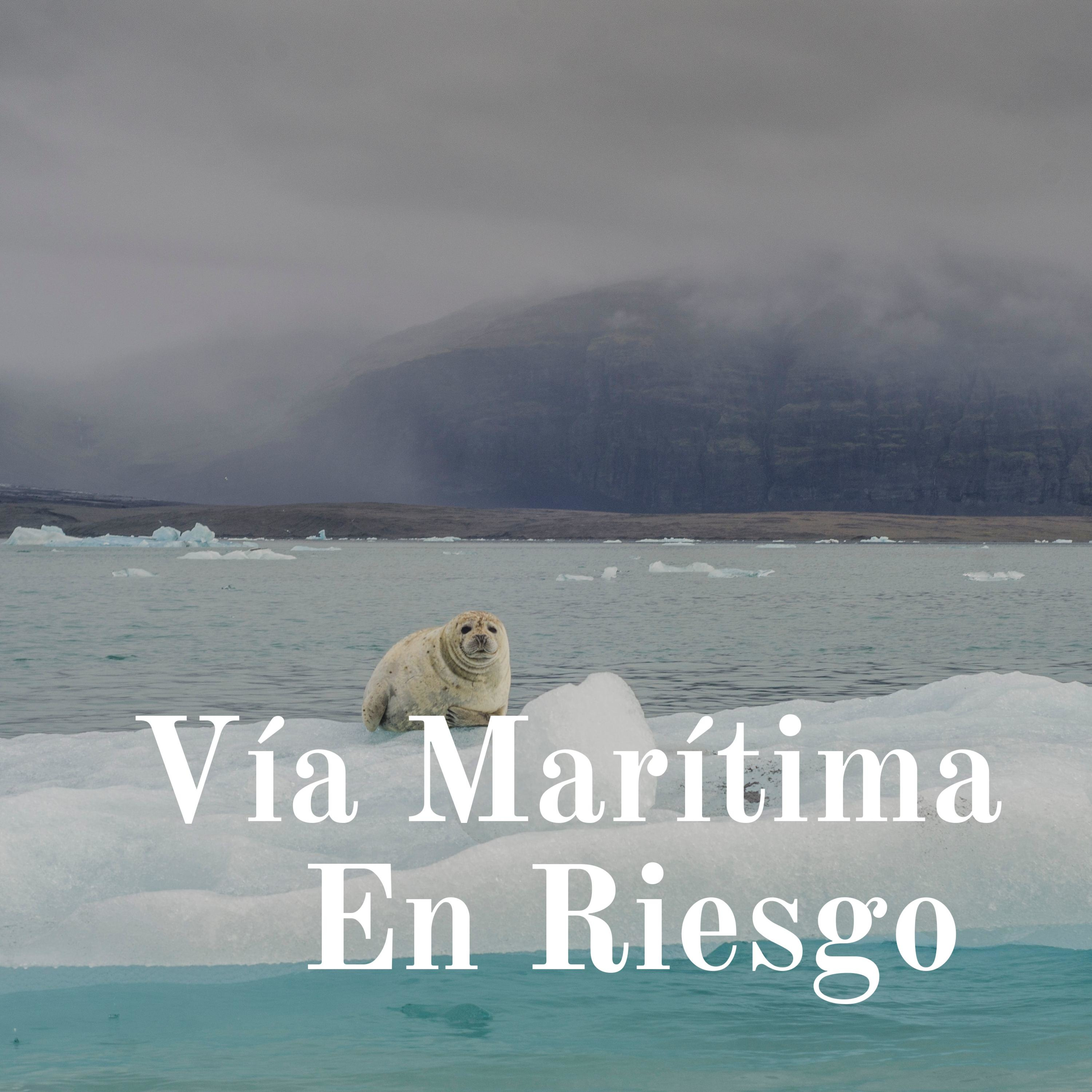 Vía Marítima En Riesgo podcast artwork