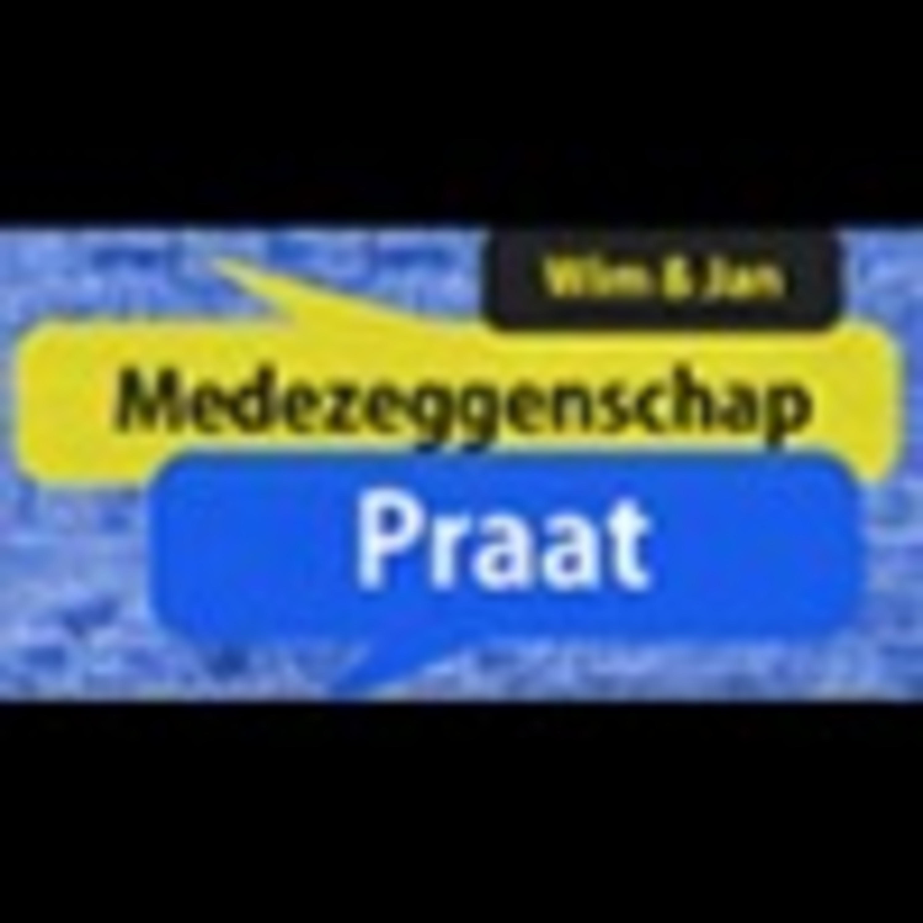 Medezeggenschap