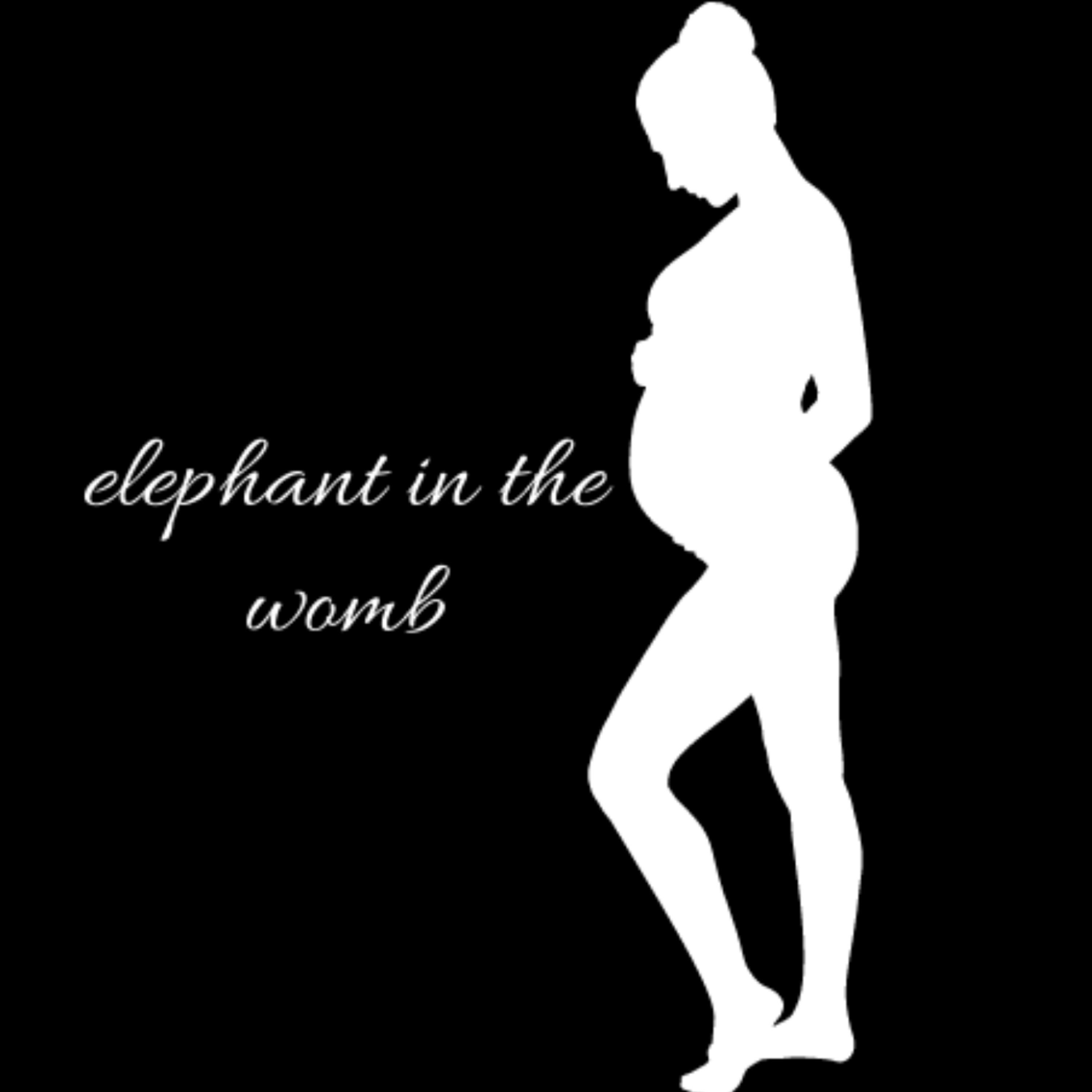 Elephant in the Womb podcast artwork