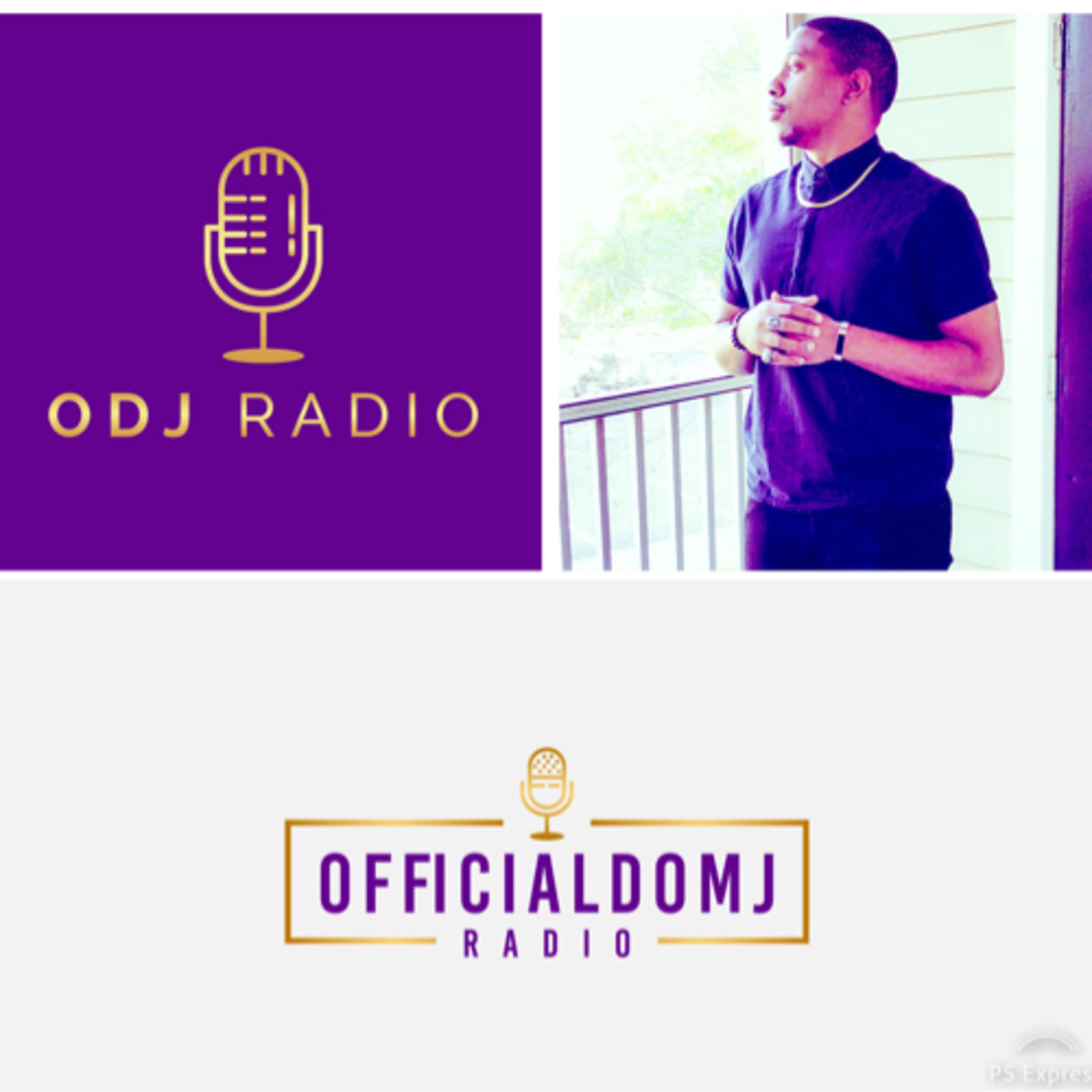 Officialdomj Radio