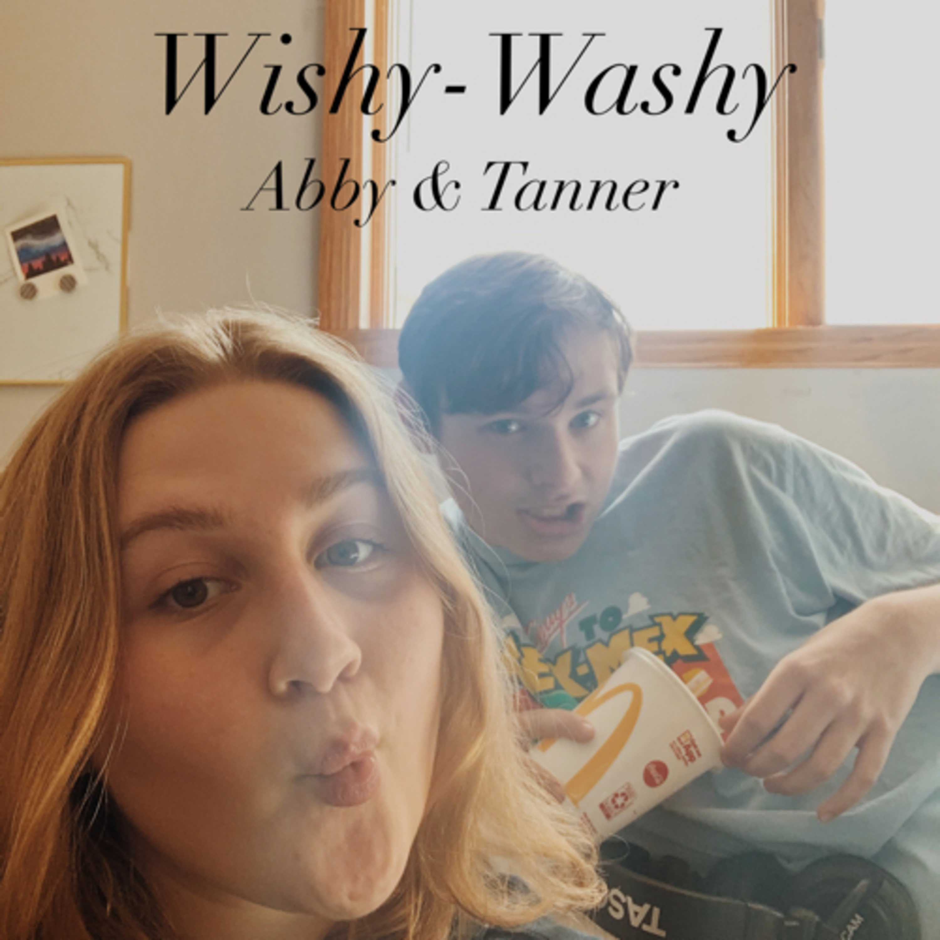 Wishy-Washy podcast artwork